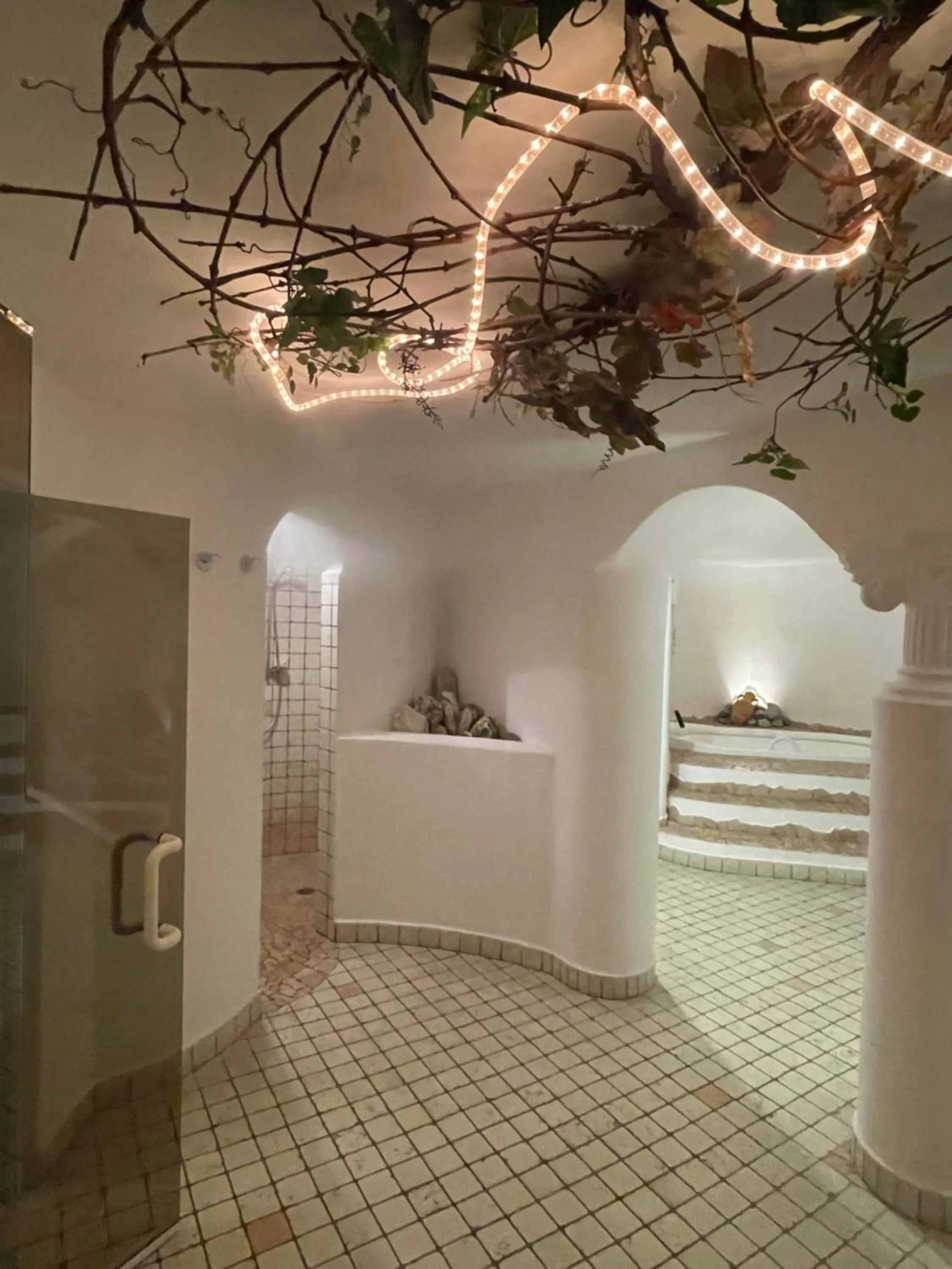 Spa and wellness centre/facilities in Hotel Larch