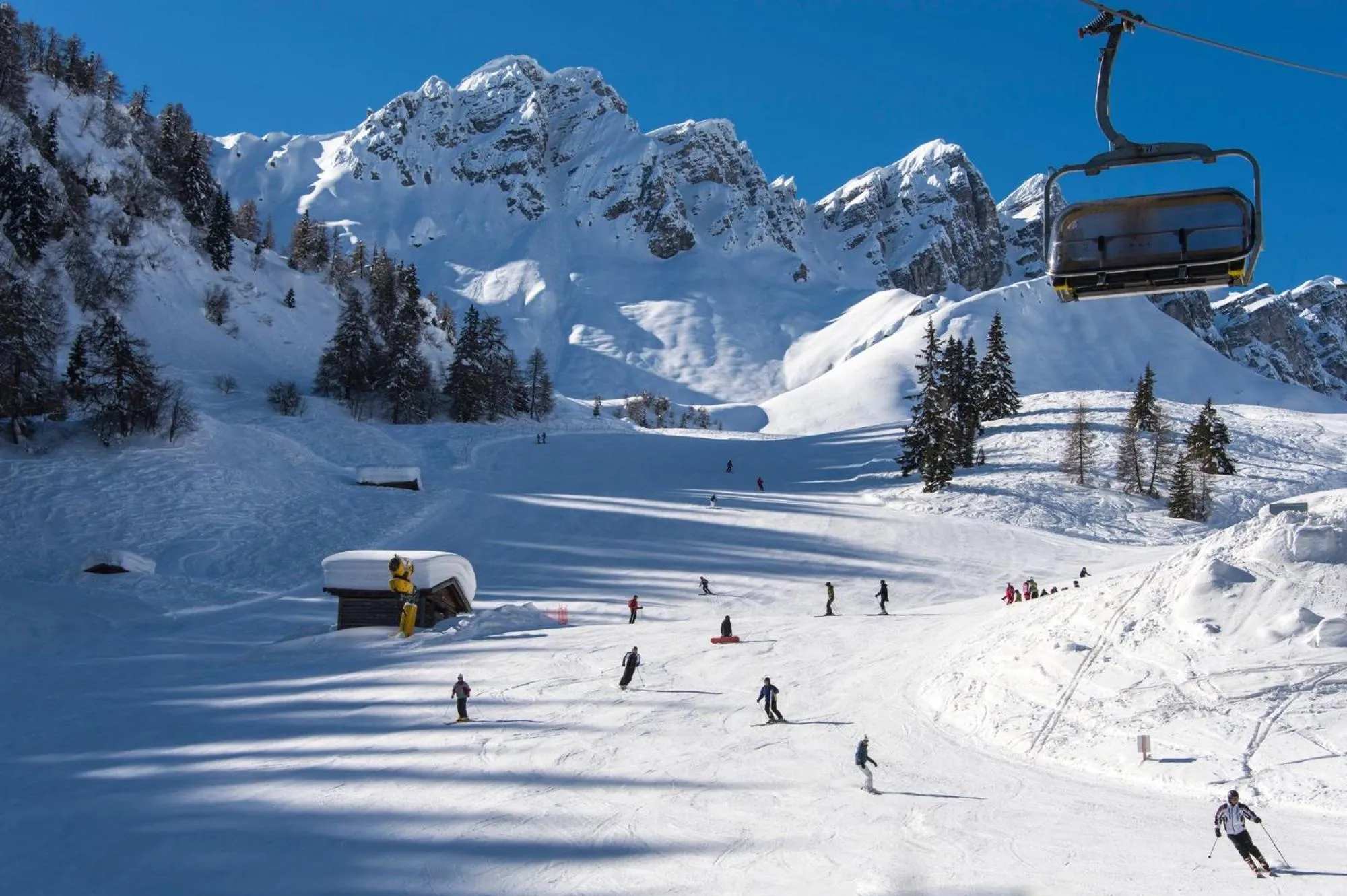 Natural landscape in Hotel Larch