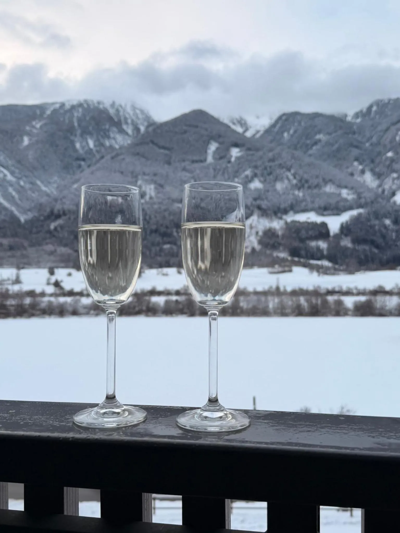 Winter in Hotel Larch