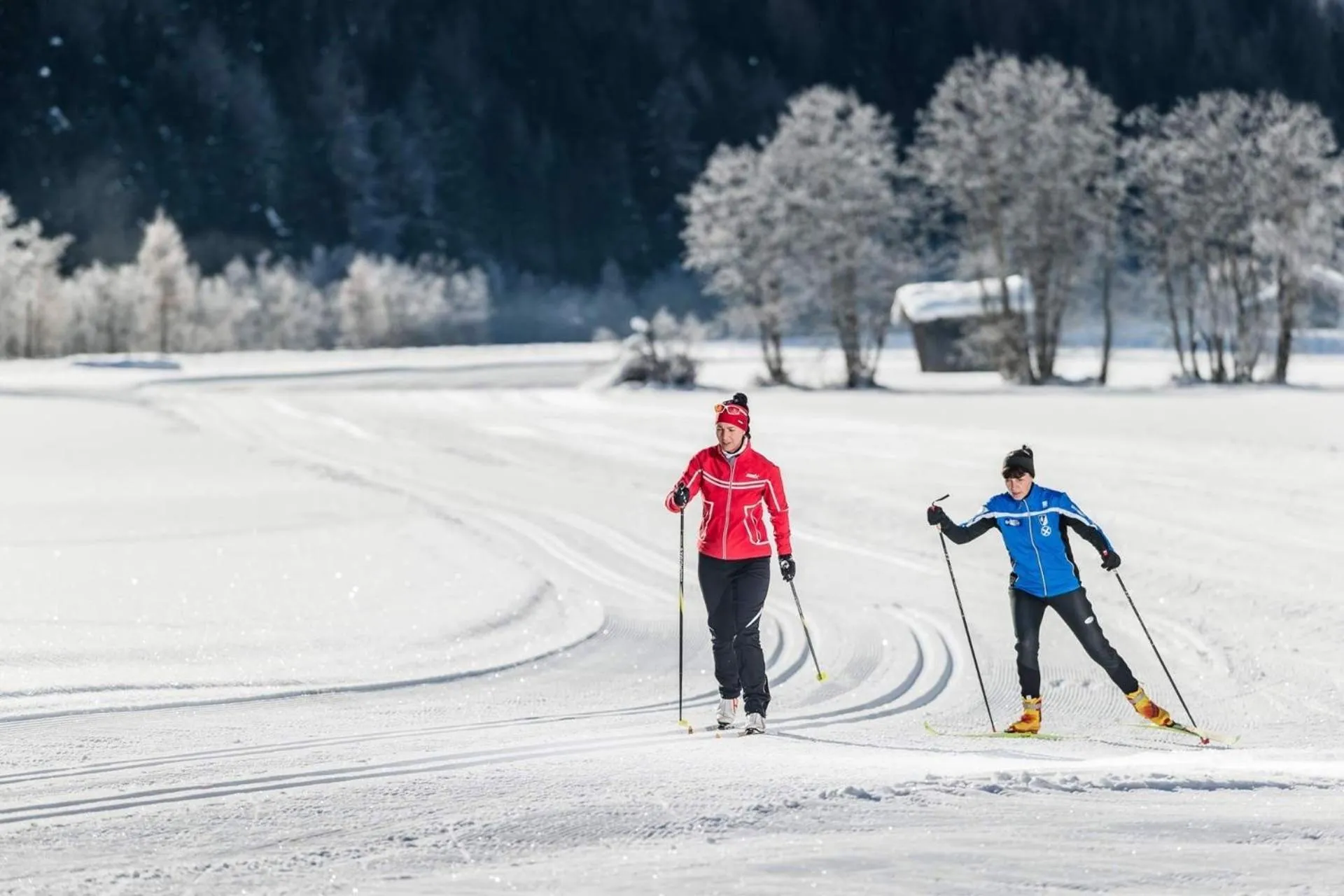 Winter in Hotel Larch