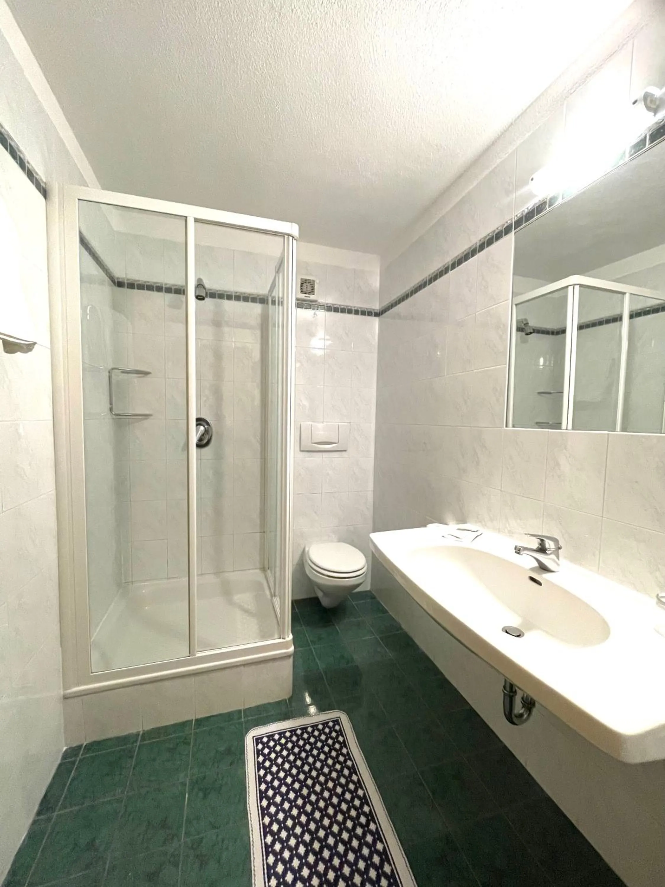 Bathroom in Hotel Larch