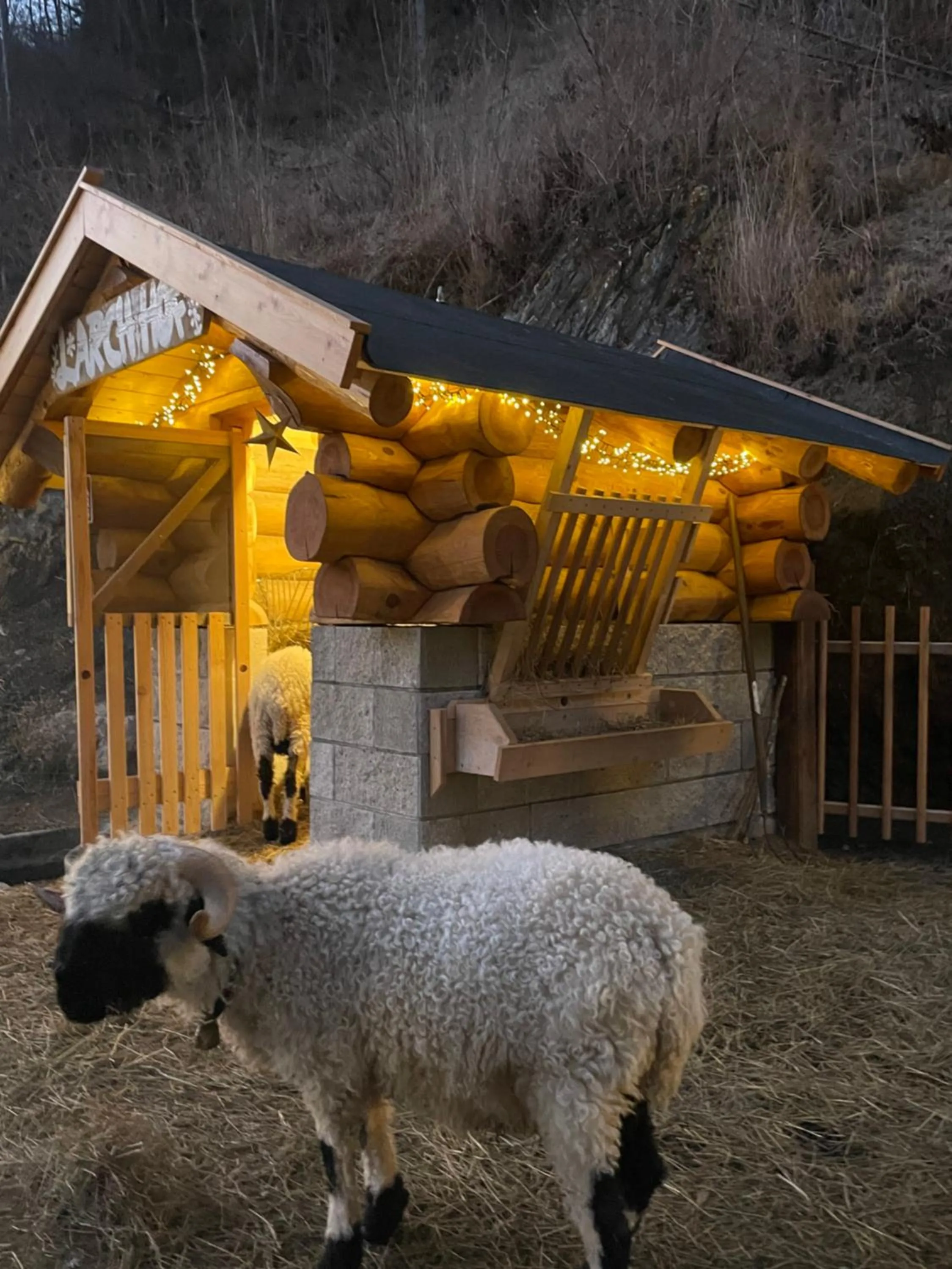 Animals in Hotel Larch