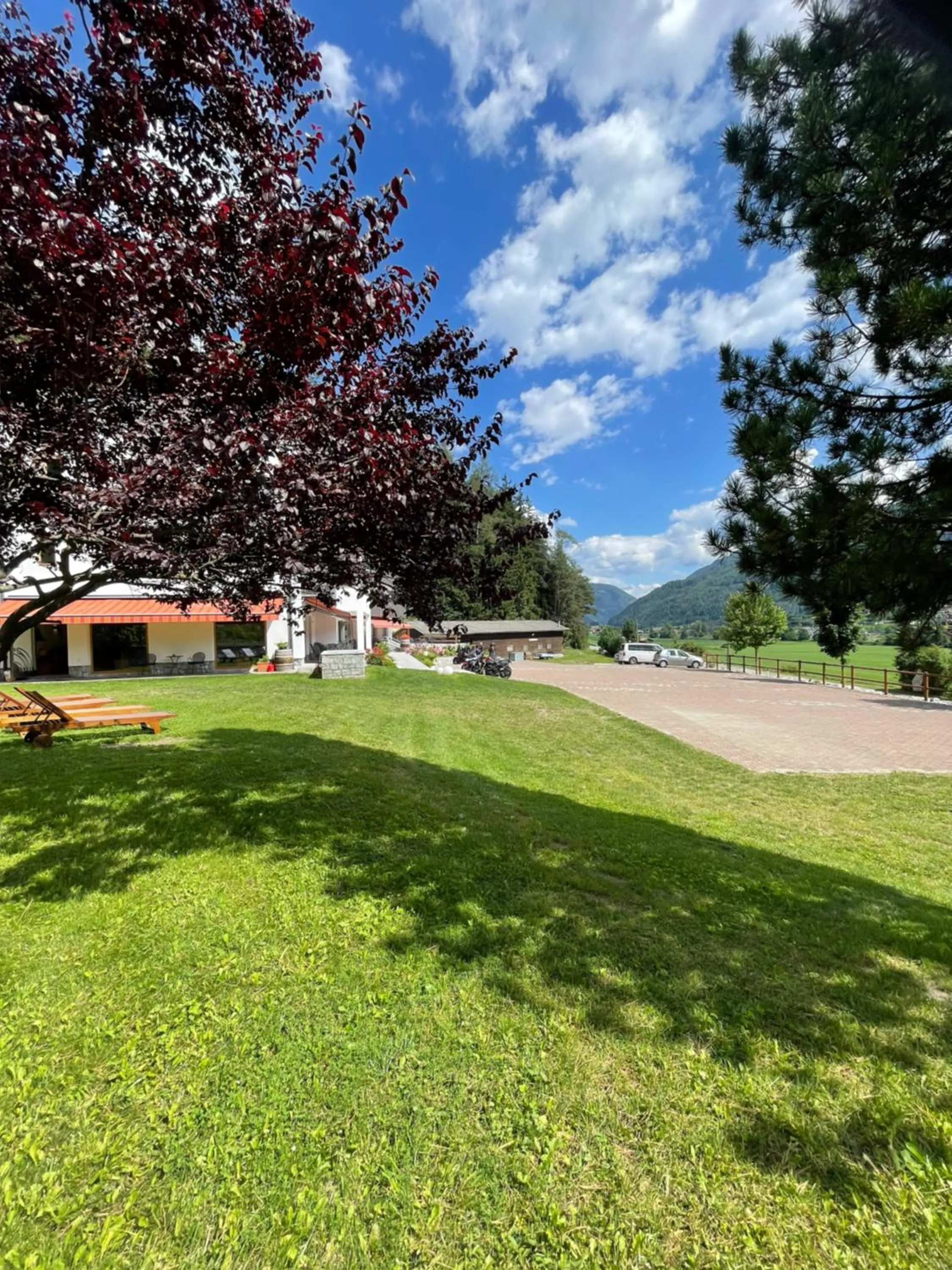 Garden in Hotel Larch