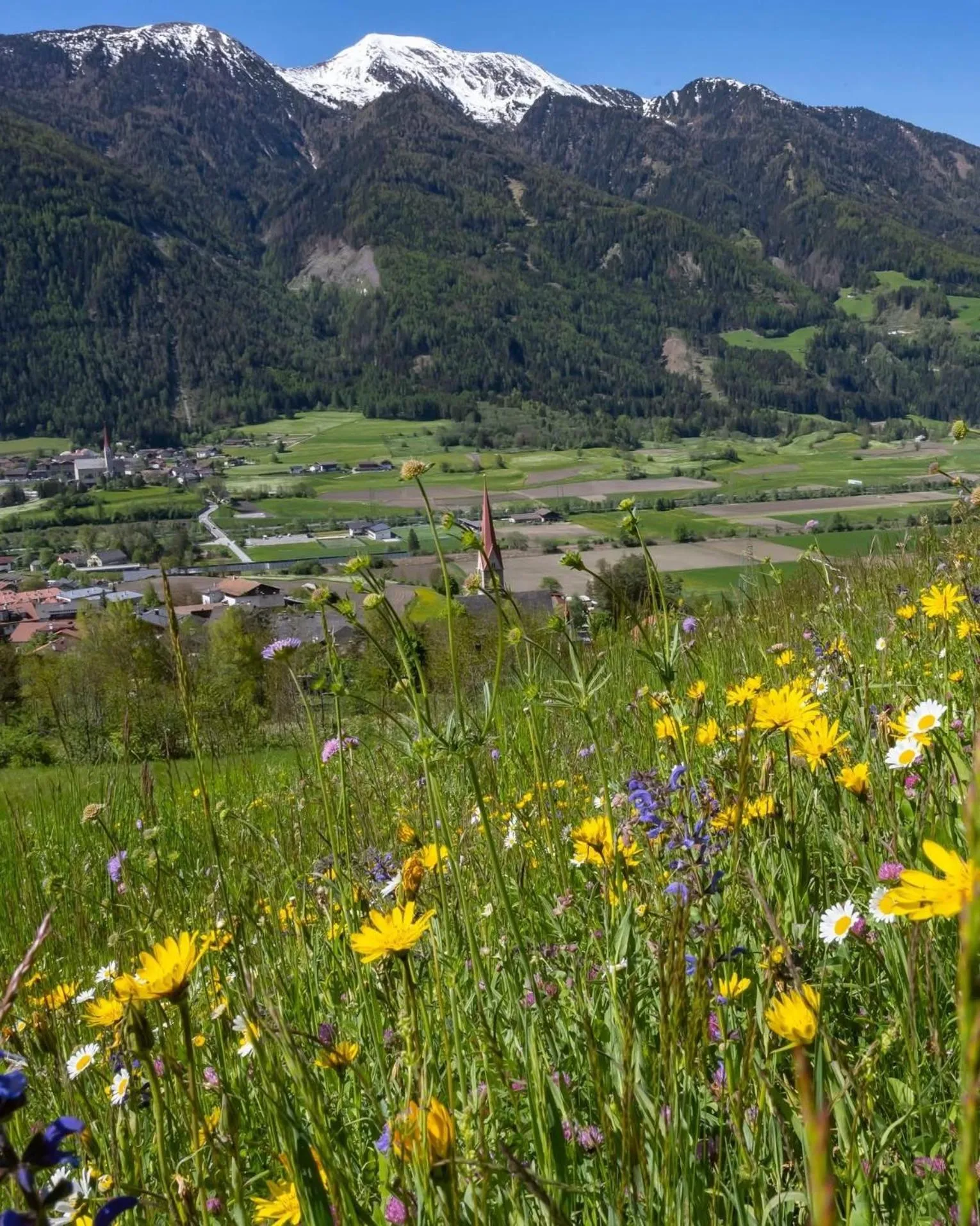 Natural landscape in Hotel Larch