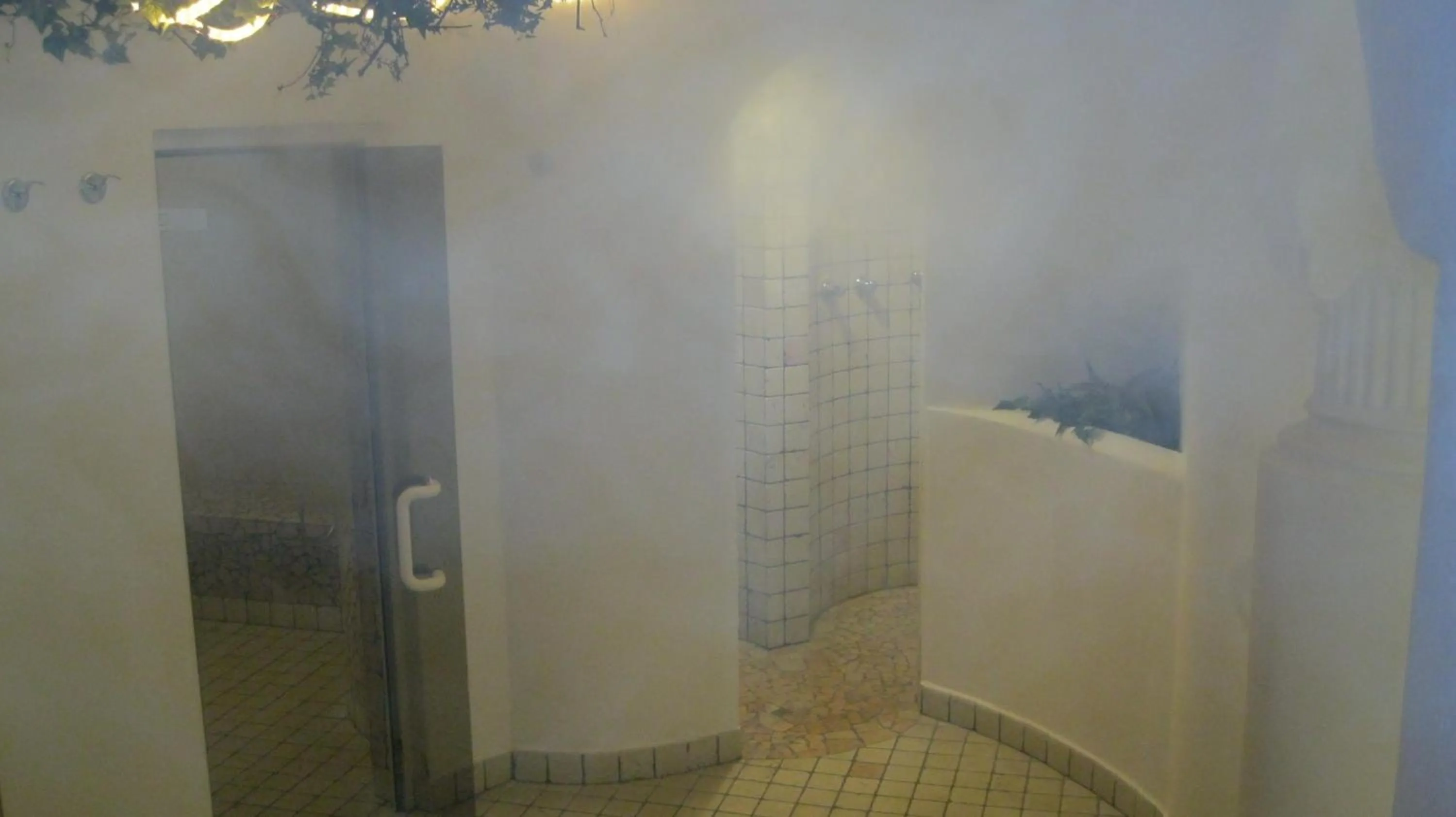 Steam room in Hotel Larch