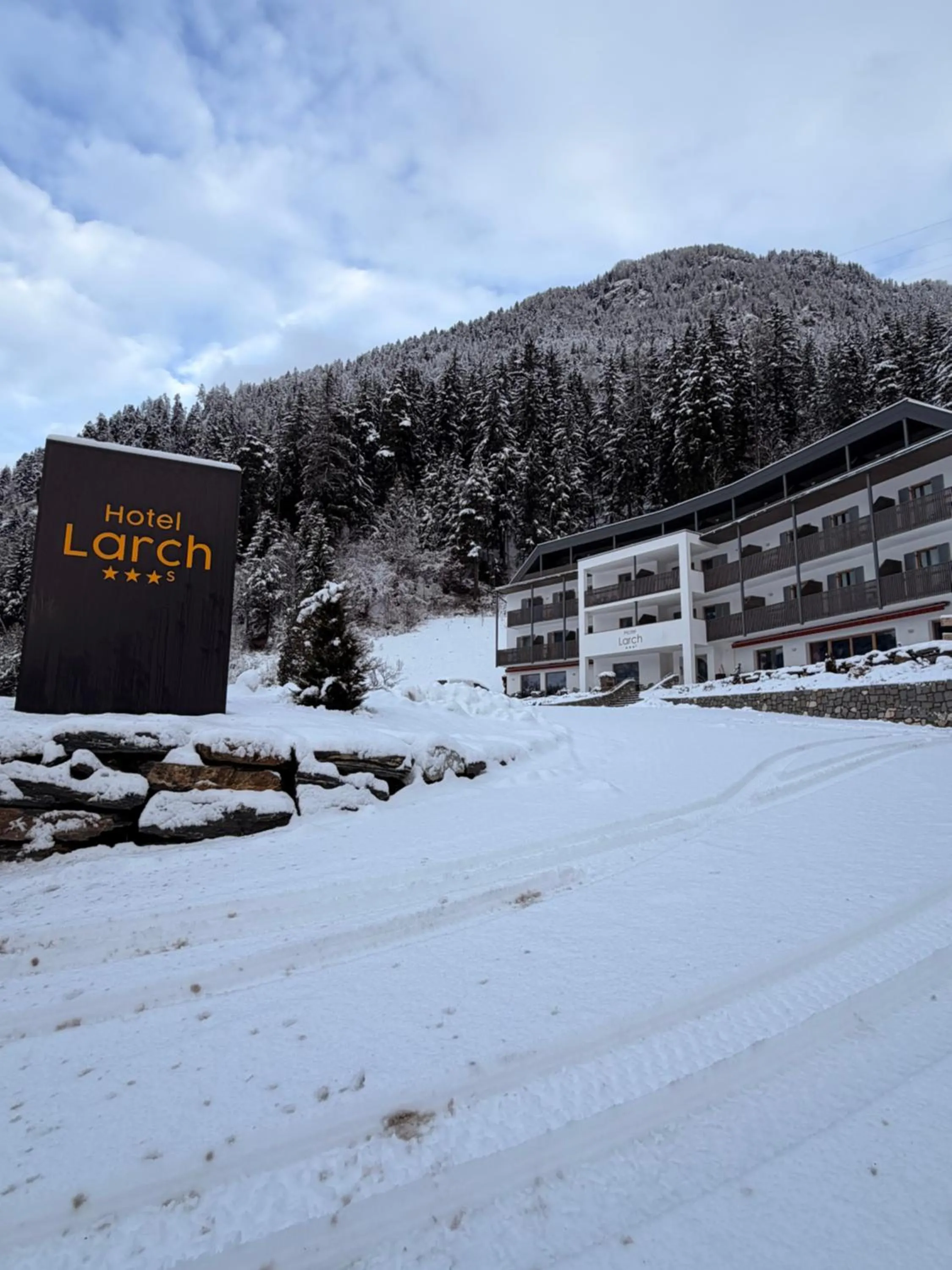 Winter in Hotel Larch