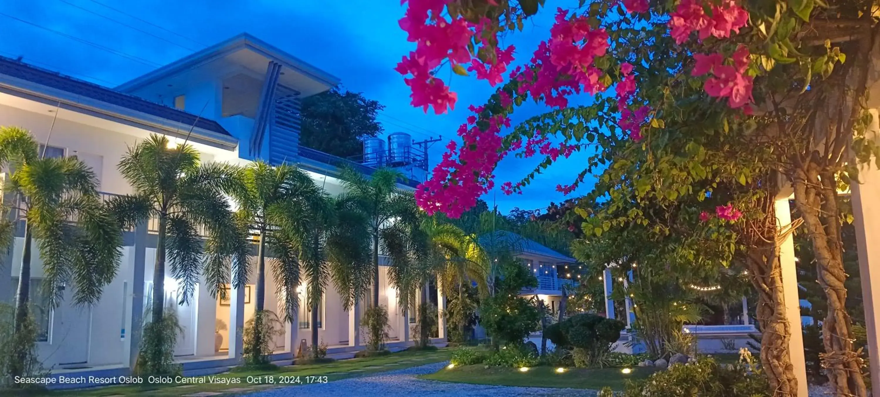 Property building in Seascape Beach Resort Oslob Property building in Seascape Beach Resort Oslob