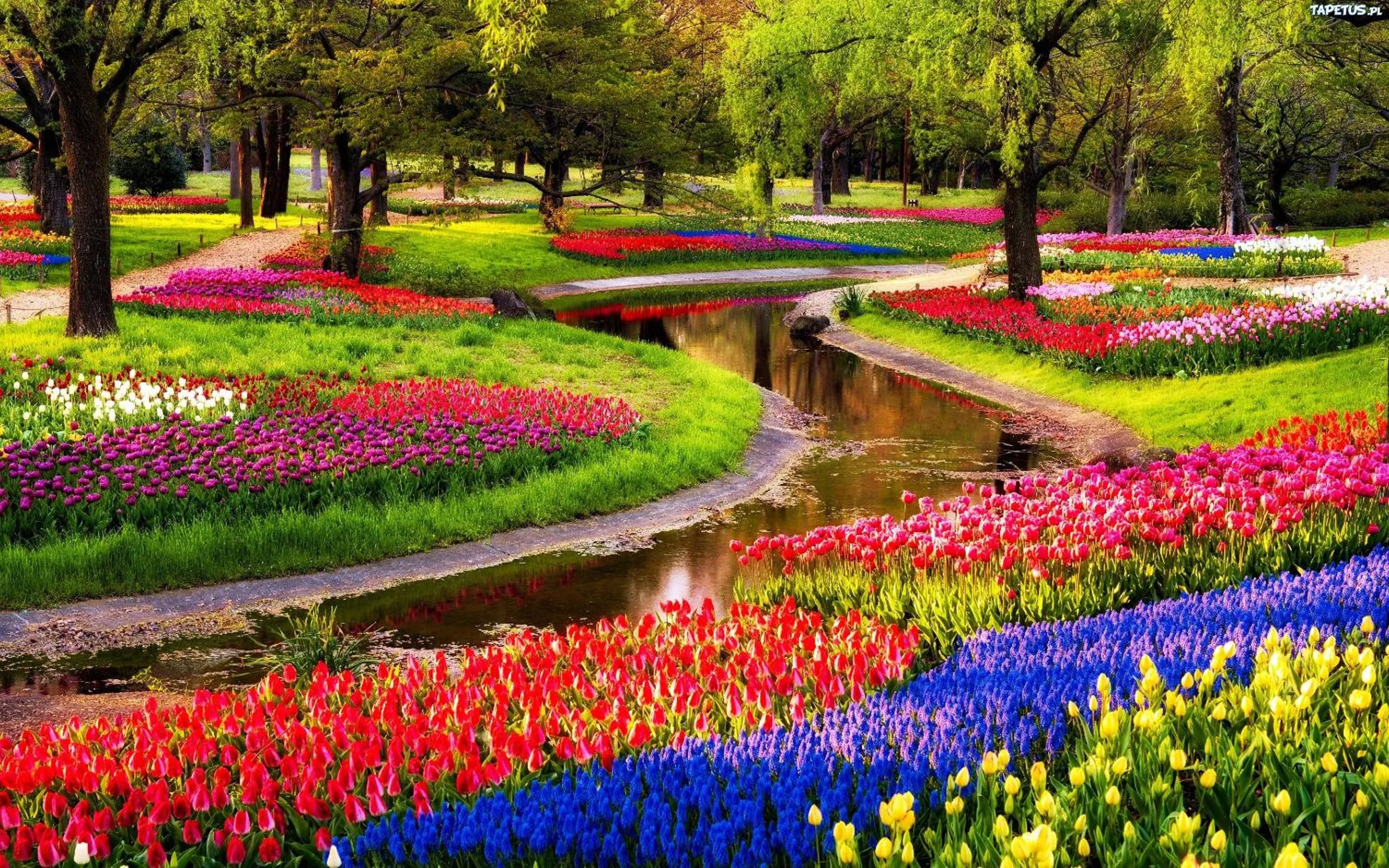 Garden in Boutique Suites Lisse - Keukenhof