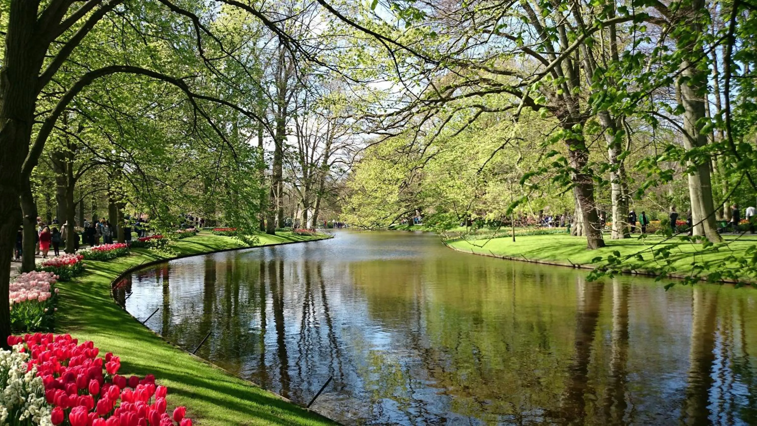 Garden in Boutique Suites Lisse - Keukenhof