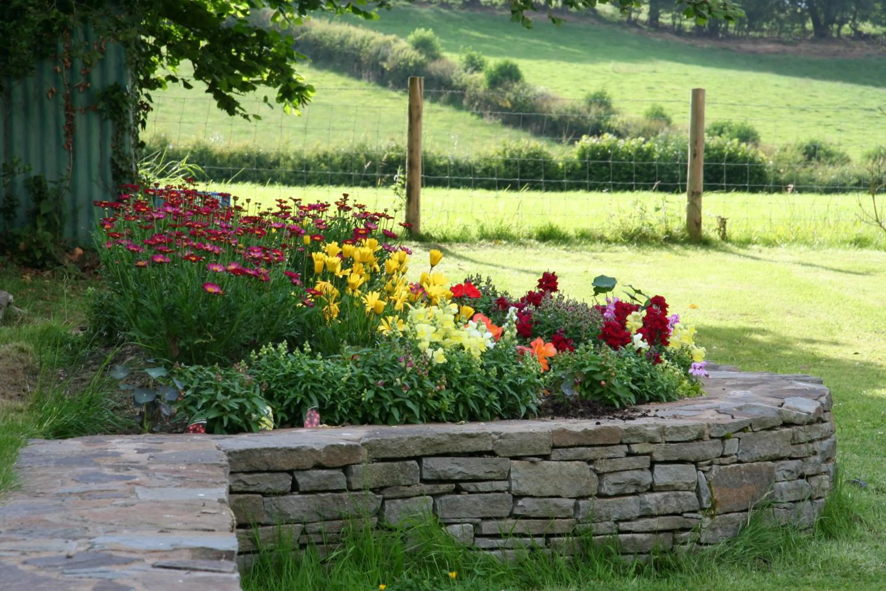 Garden view in Pwllgwilym B & B
