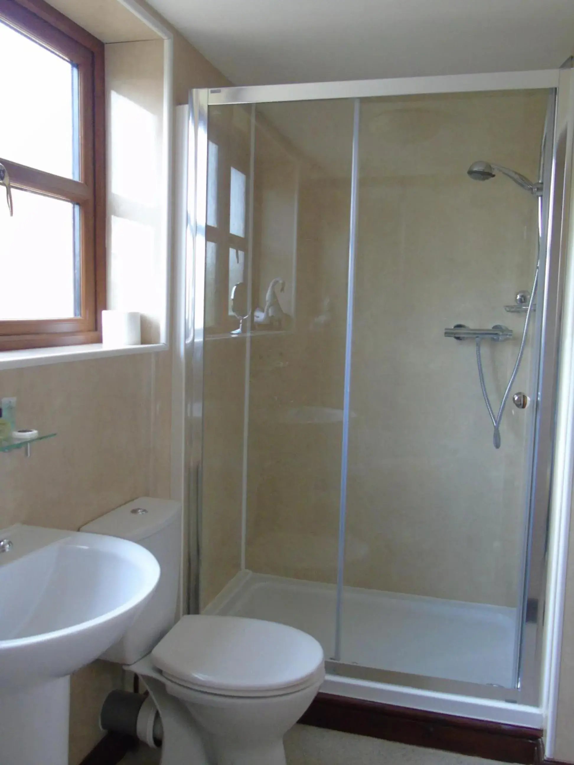 Double or Twin Room in Pwllgwilym B & B Double or Twin Room in Pwllgwilym B & B