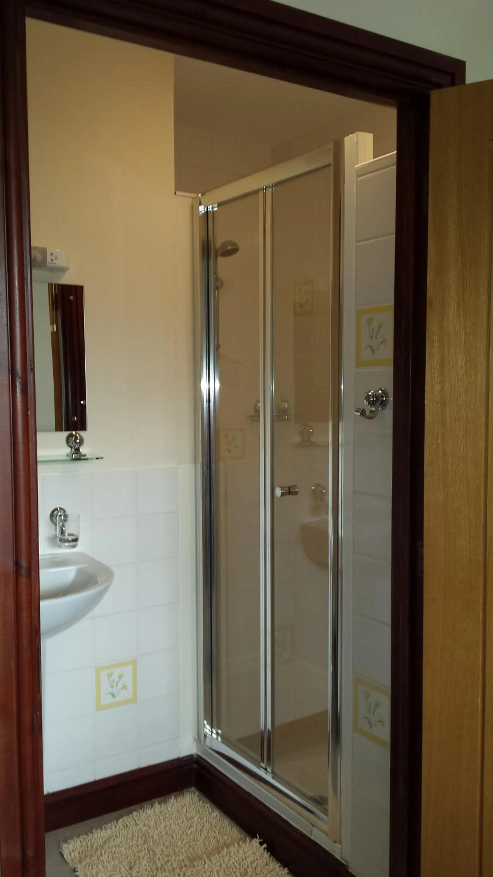 Shower in Pwllgwilym B & B