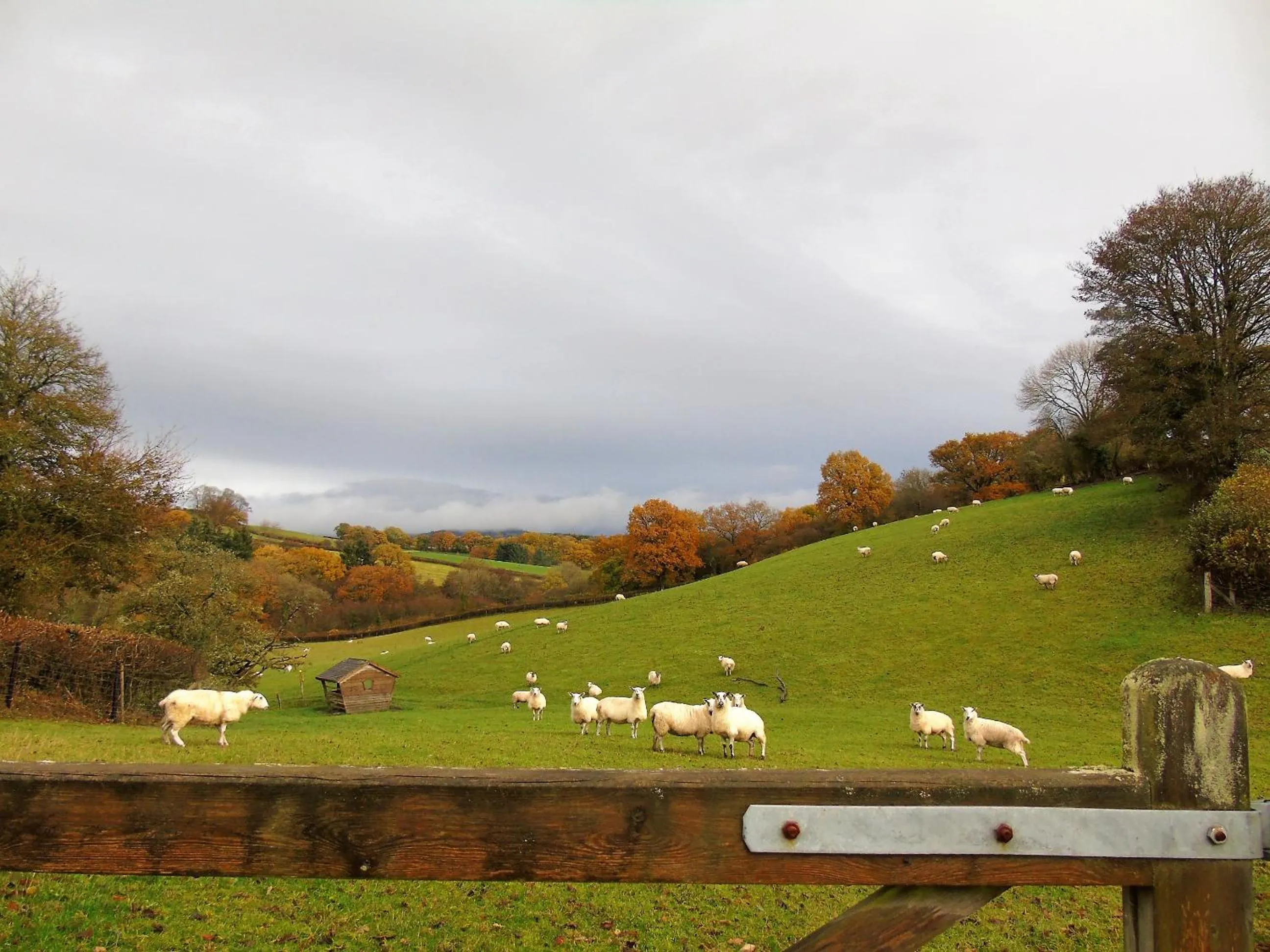Mountain view in Pwllgwilym B & B