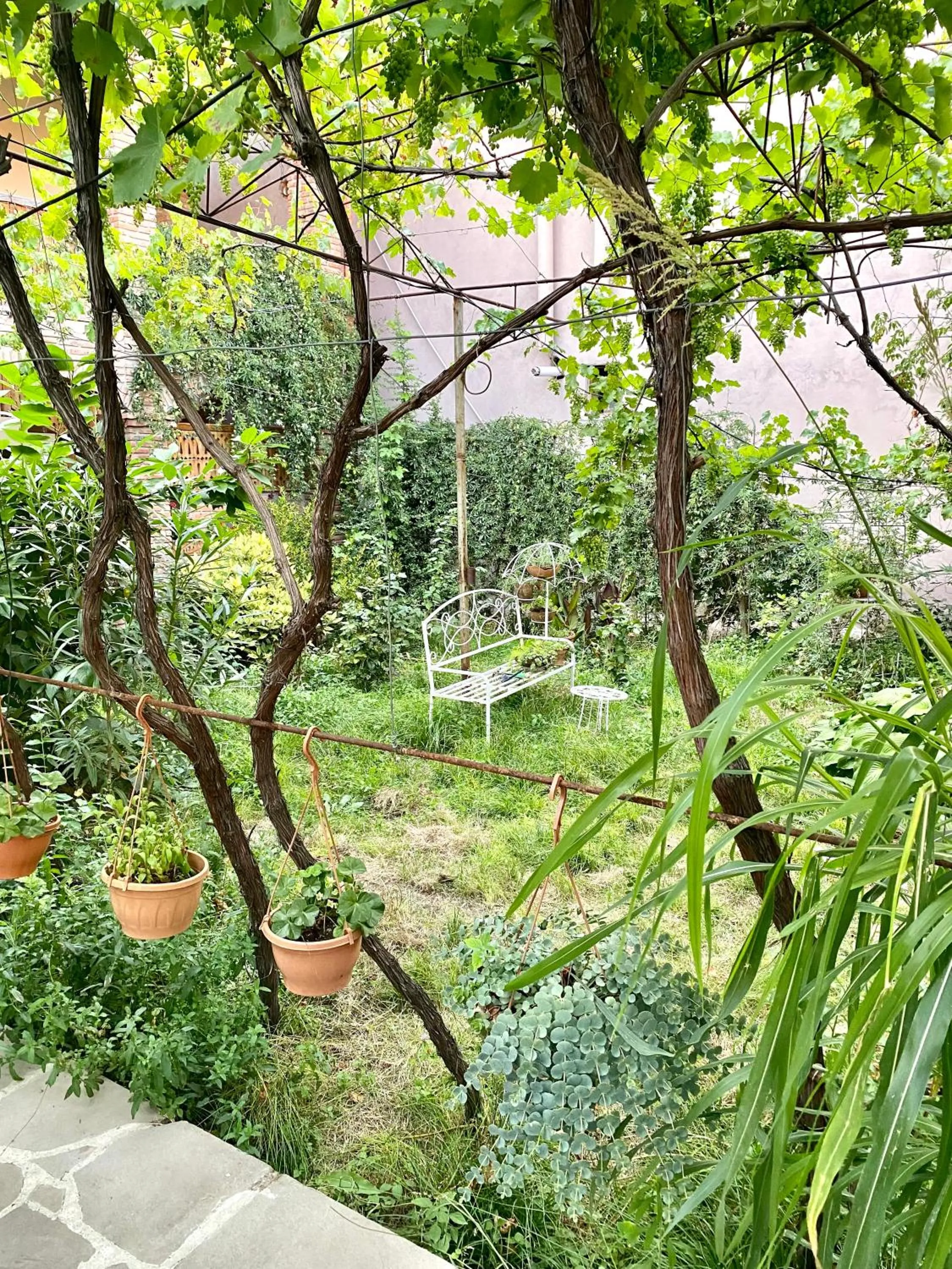 Garden in Hotel Magdalena