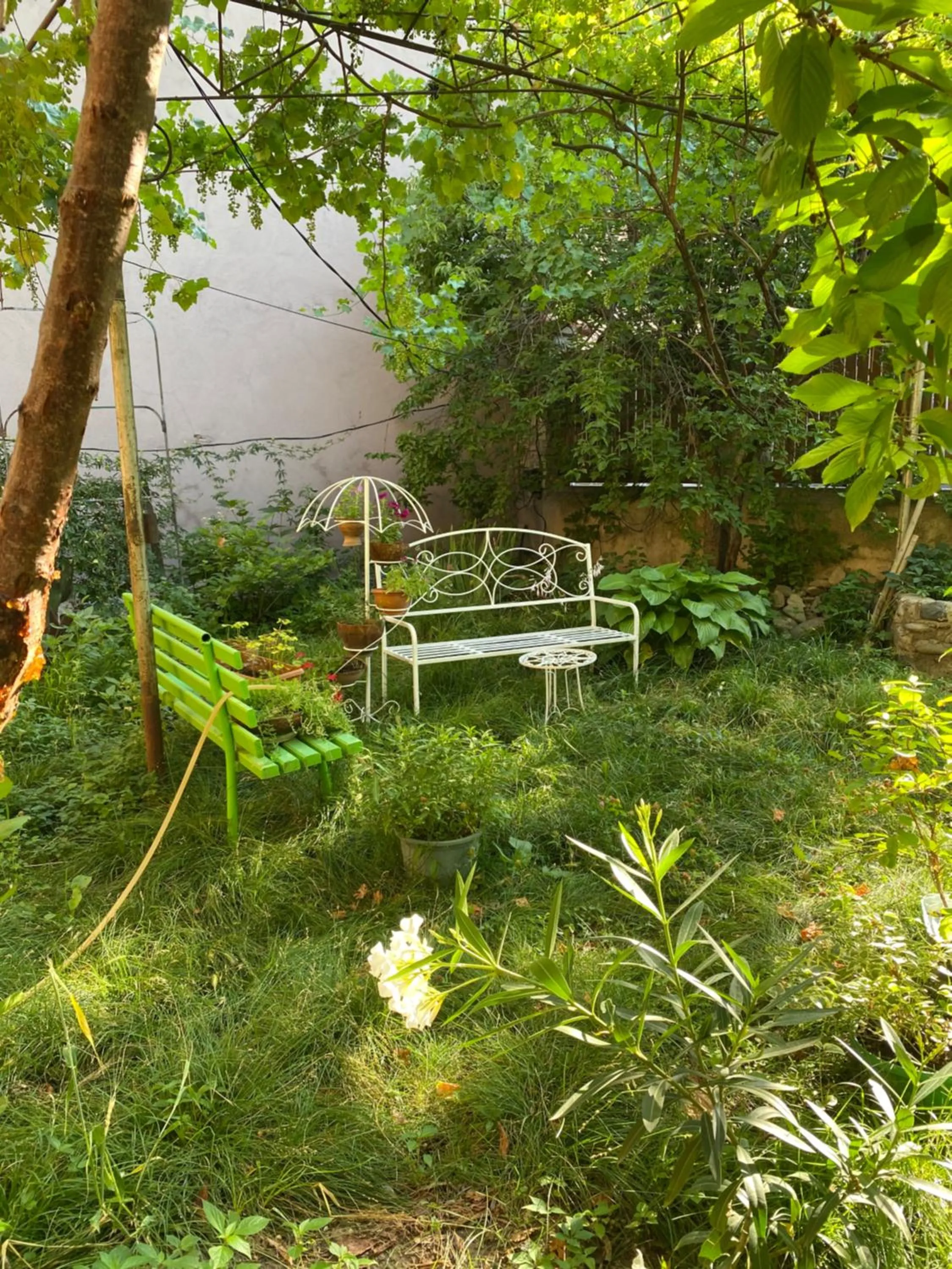 Patio in Hotel Magdalena