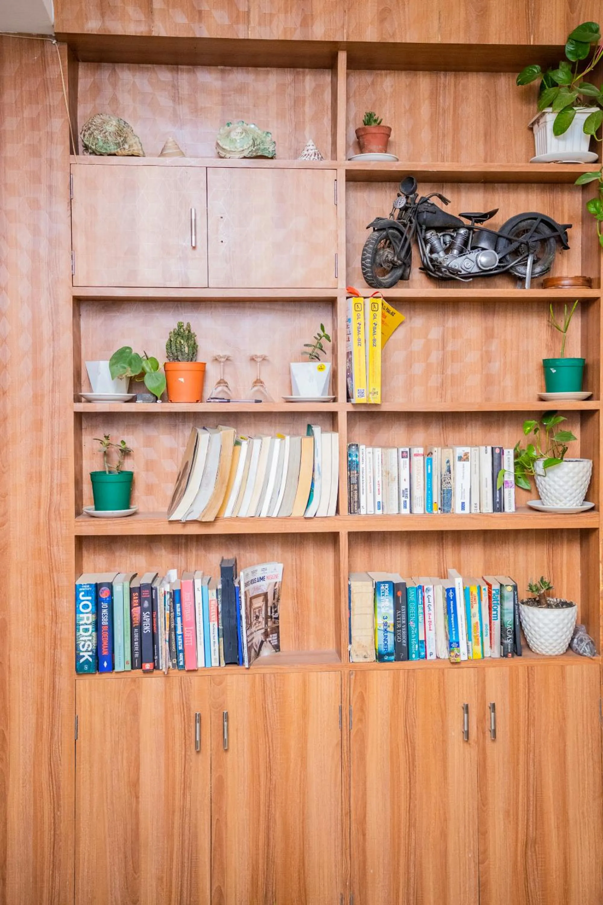 Library in Doors Hotel Thamel