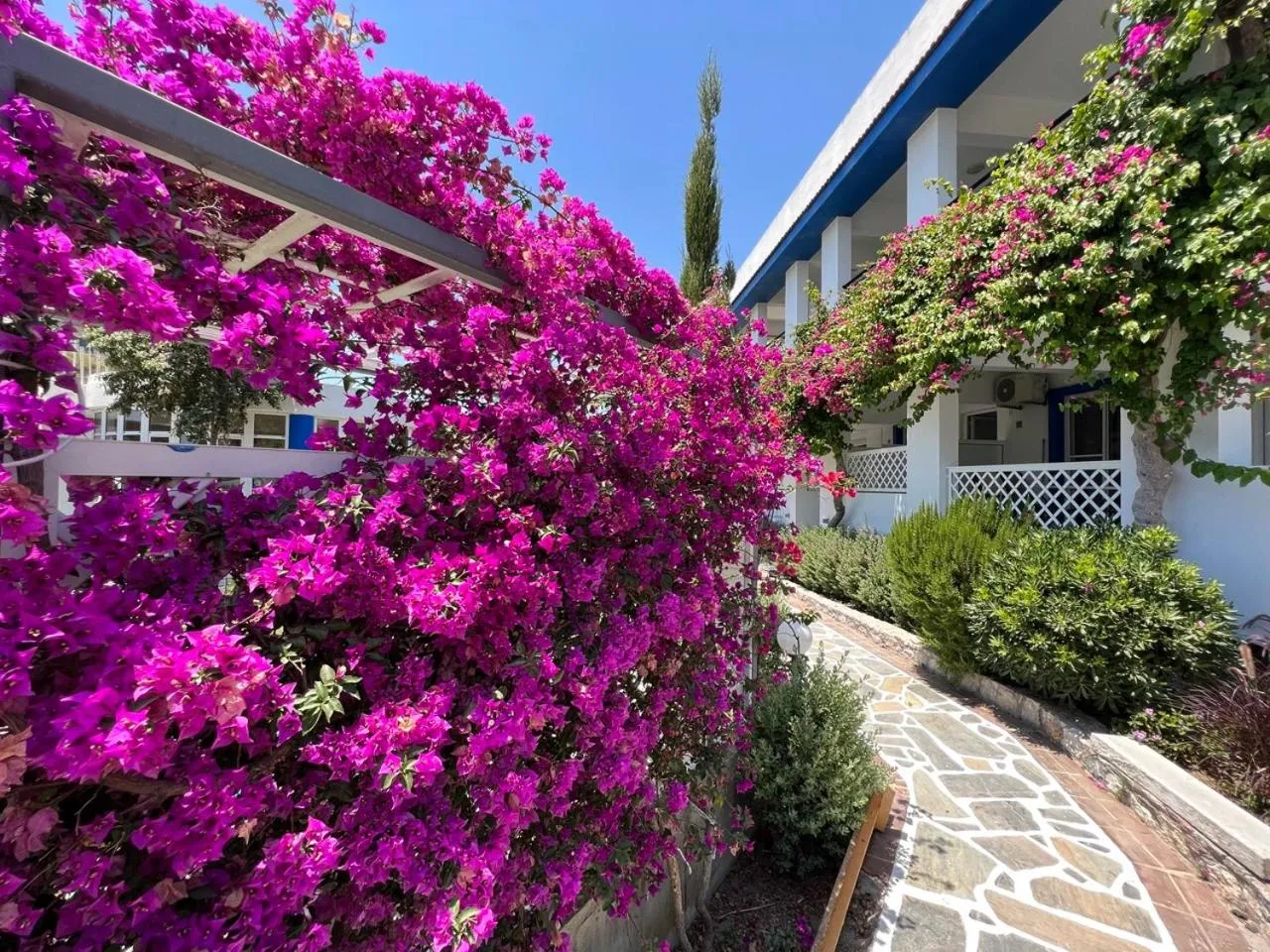 Property building in SCALA APARTS & STUDIOS - Rhodes