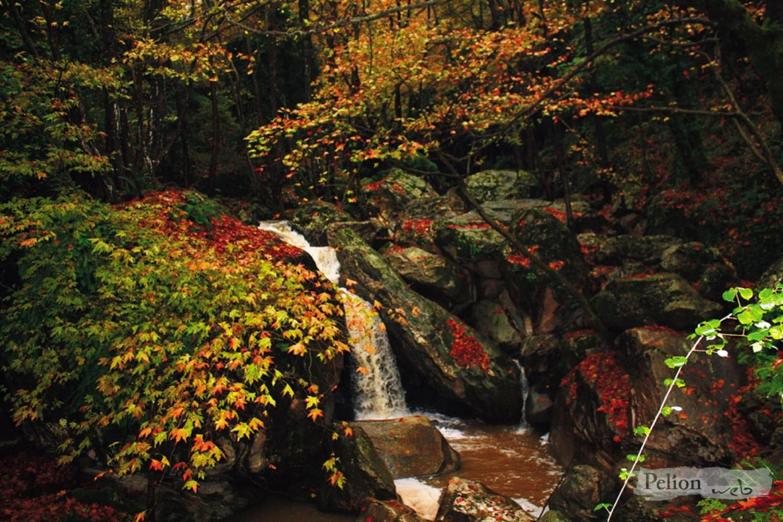 Hiking in Hotel Petradi