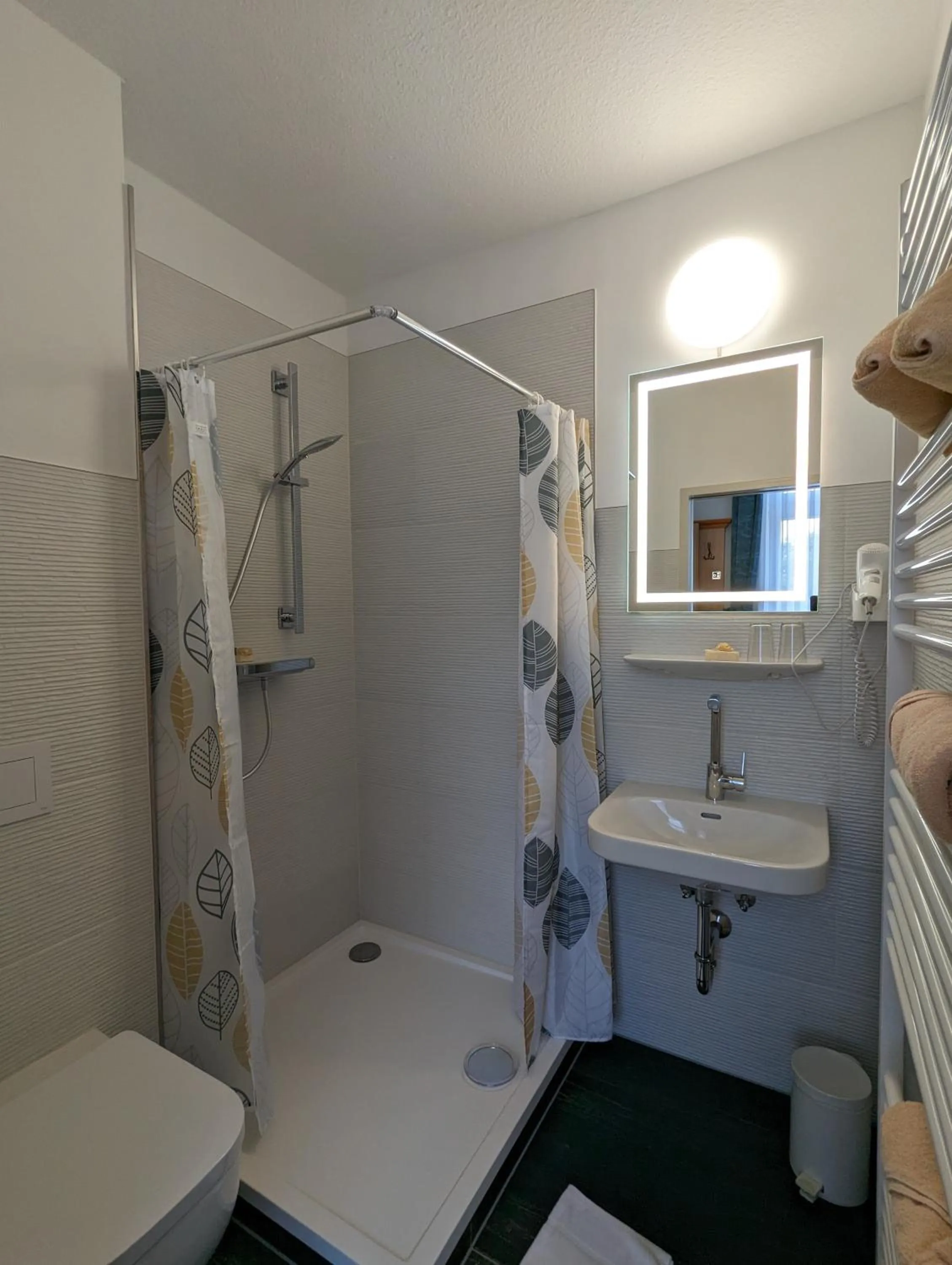 Shower in Waldgasthaus & Berghotel Steinerne Renne