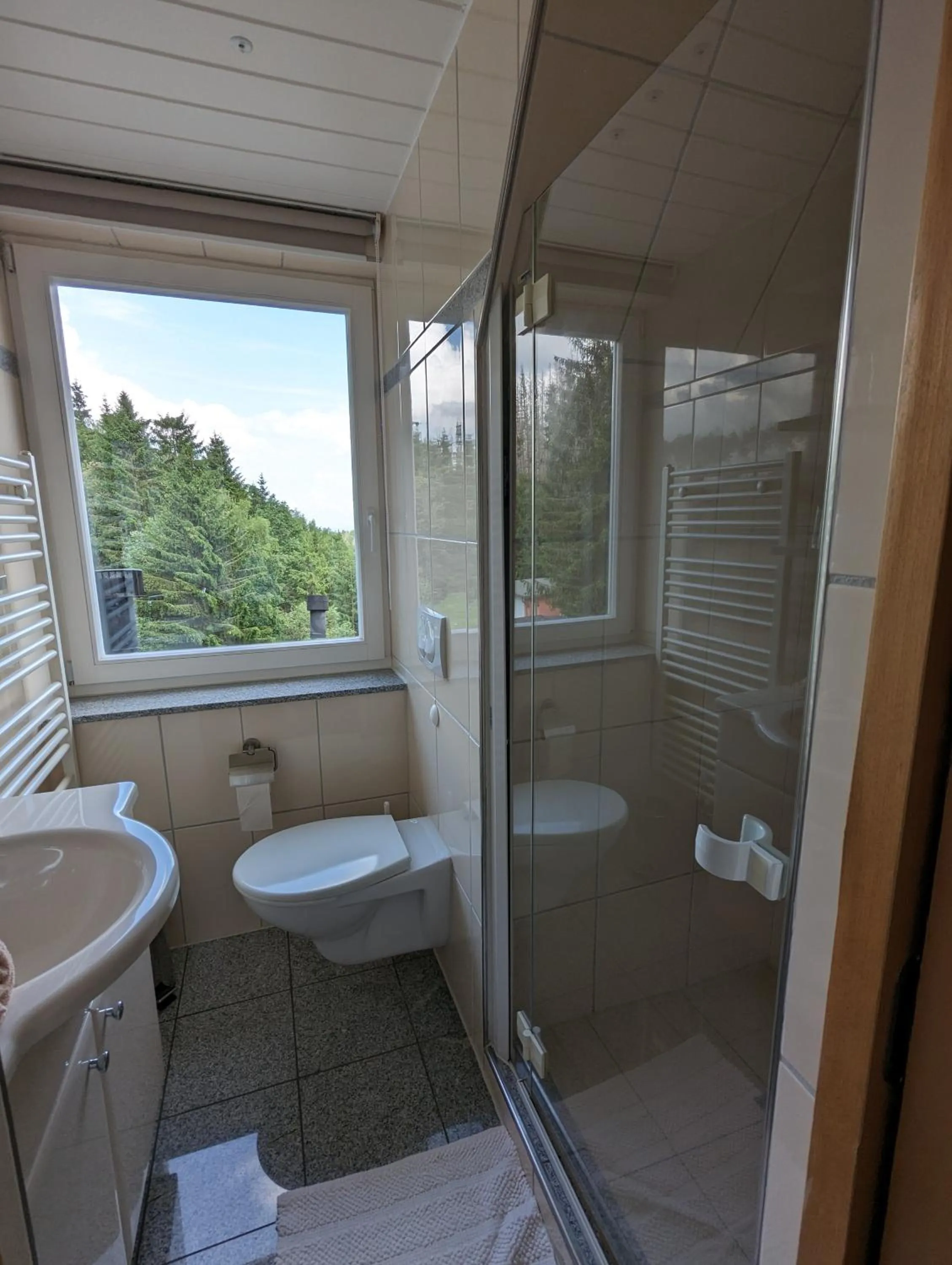 Shower in Waldgasthaus & Berghotel Steinerne Renne