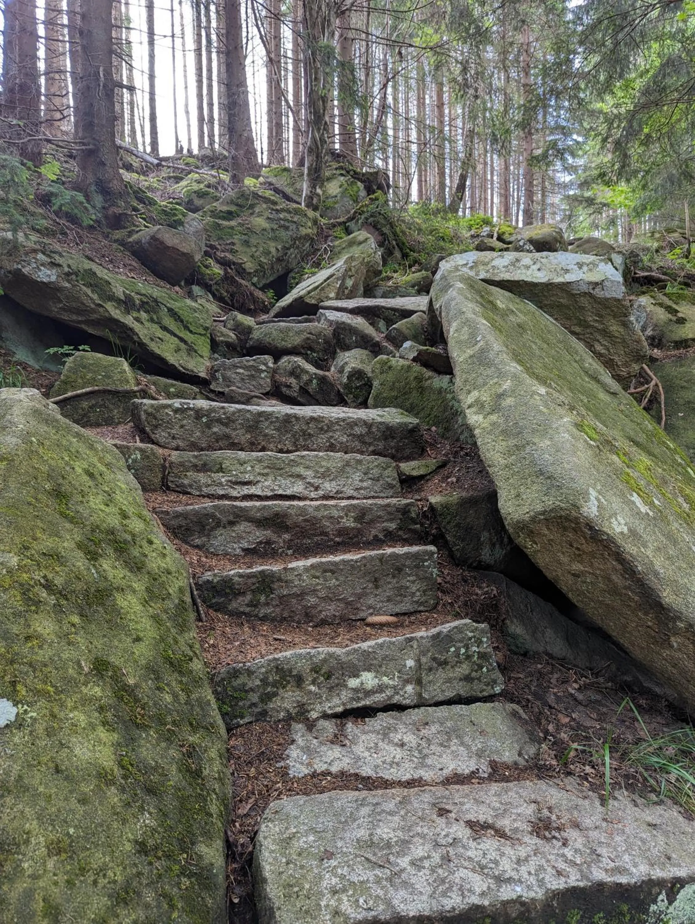 Off site in Waldgasthaus & Berghotel Steinerne Renne