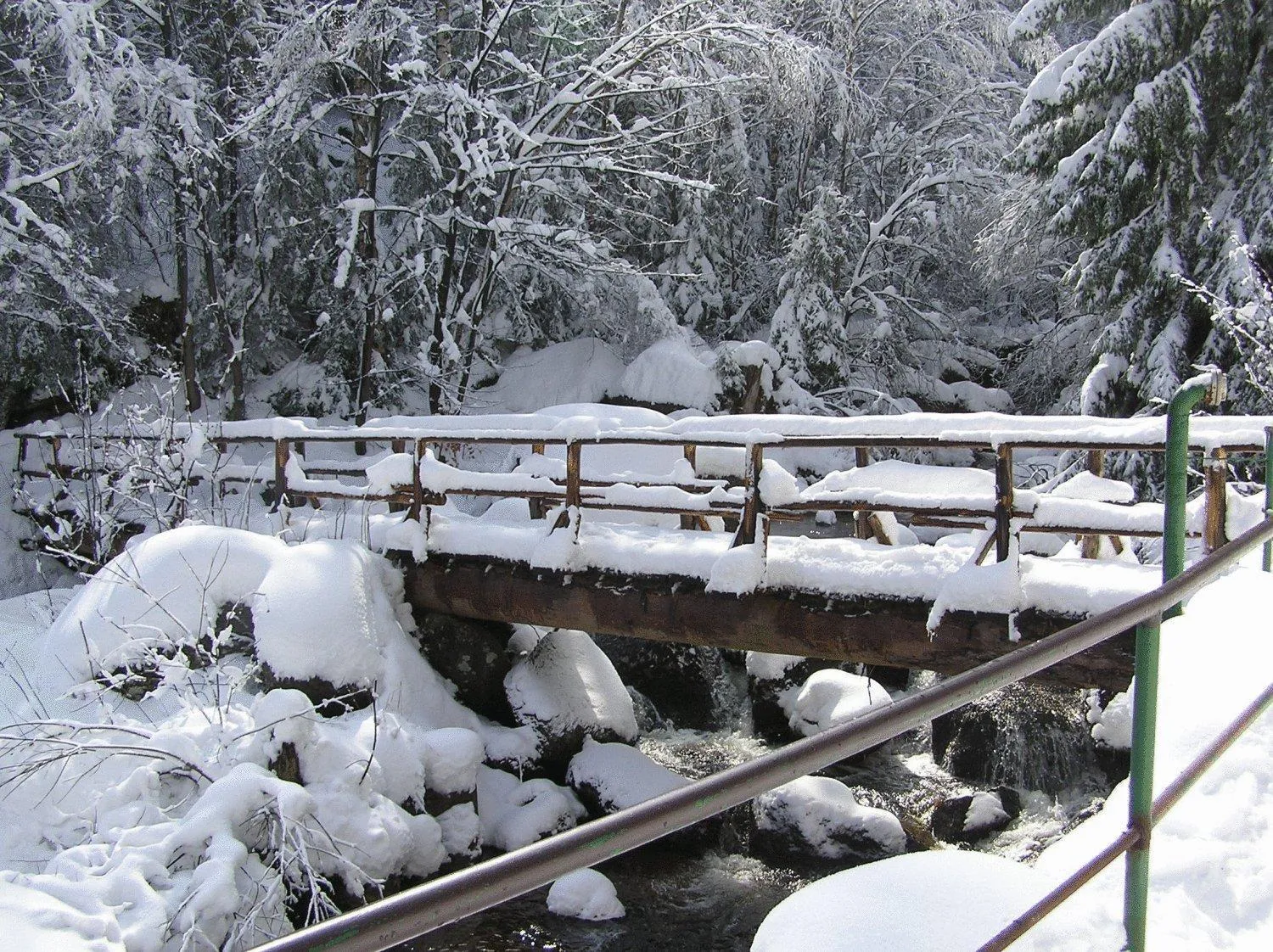 Other in Waldgasthaus & Berghotel Steinerne Renne