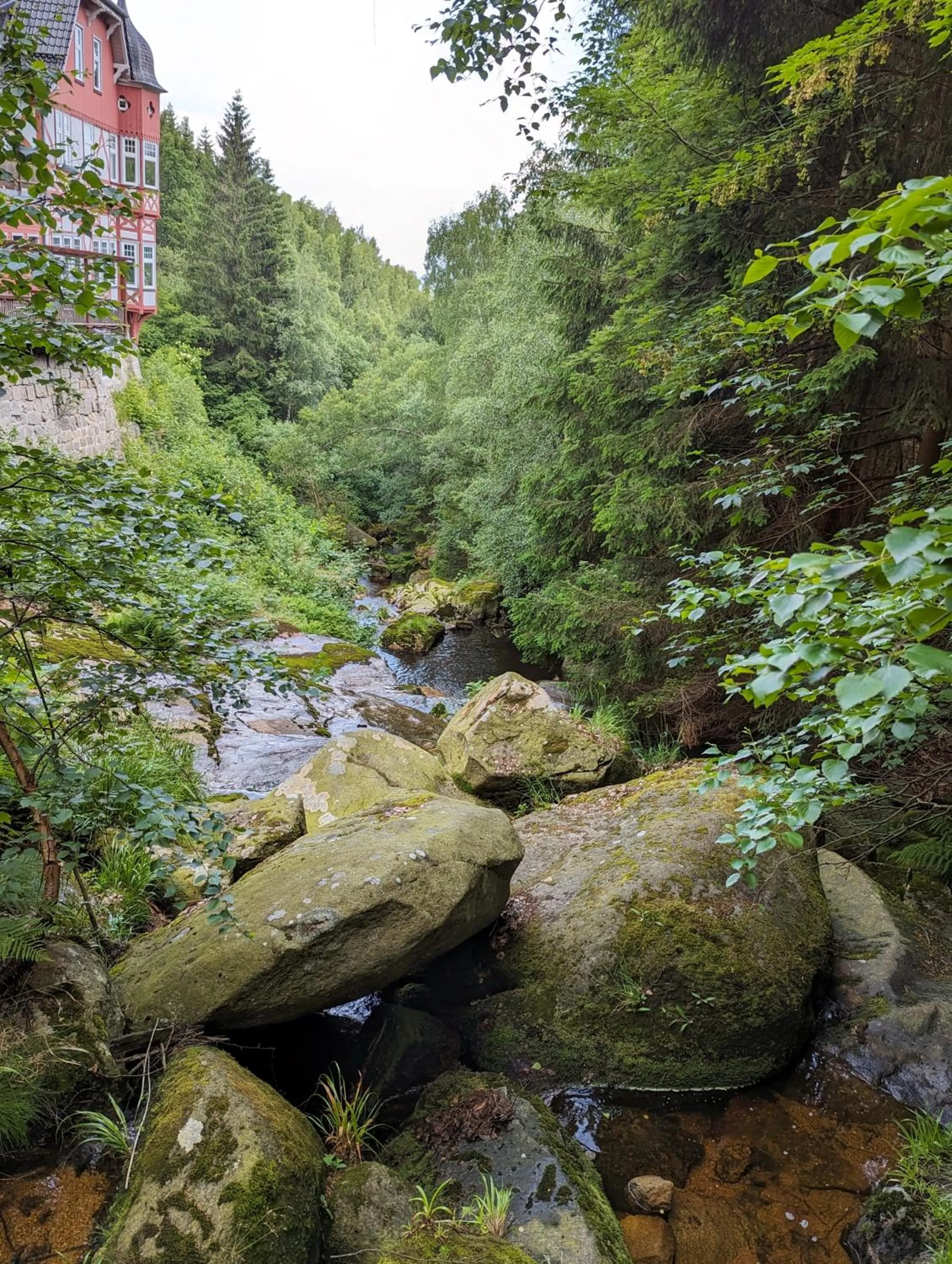 Hiking in Waldgasthaus & Berghotel Steinerne Renne