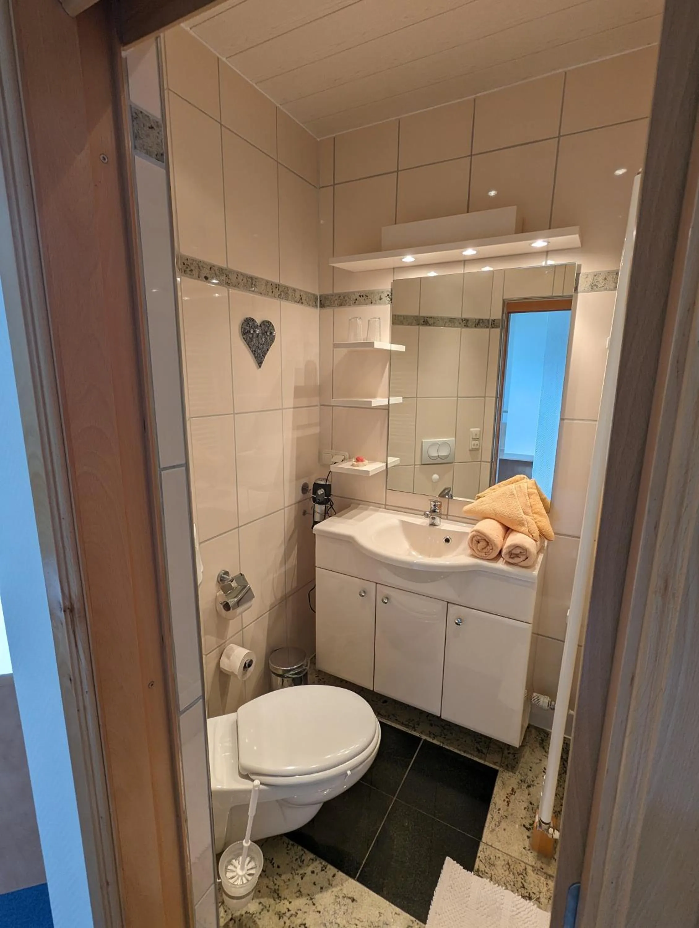 Shower in Waldgasthaus & Berghotel Steinerne Renne