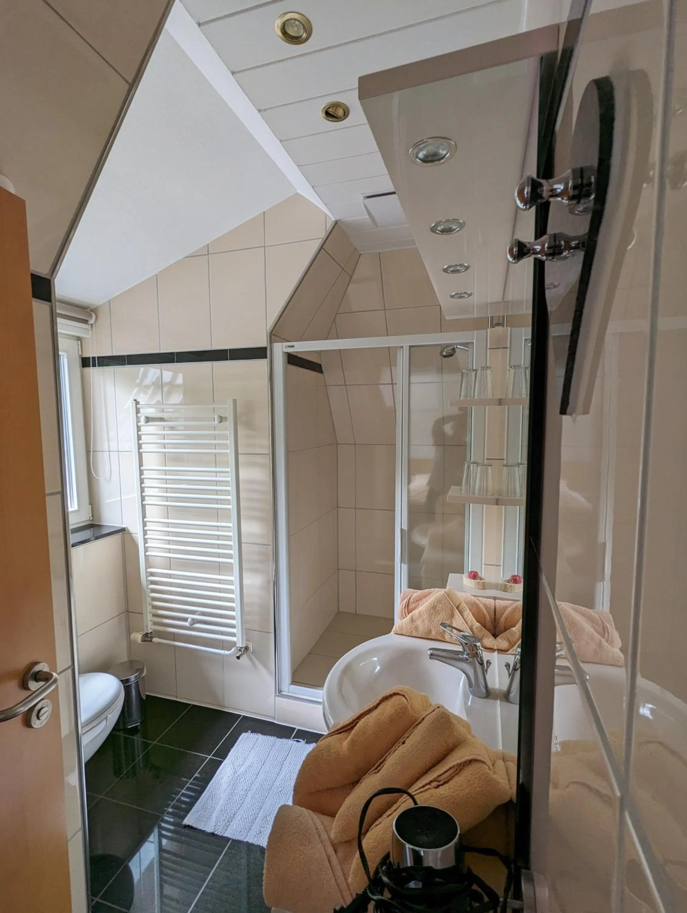 Shower, Bed in Waldgasthaus & Berghotel Steinerne Renne