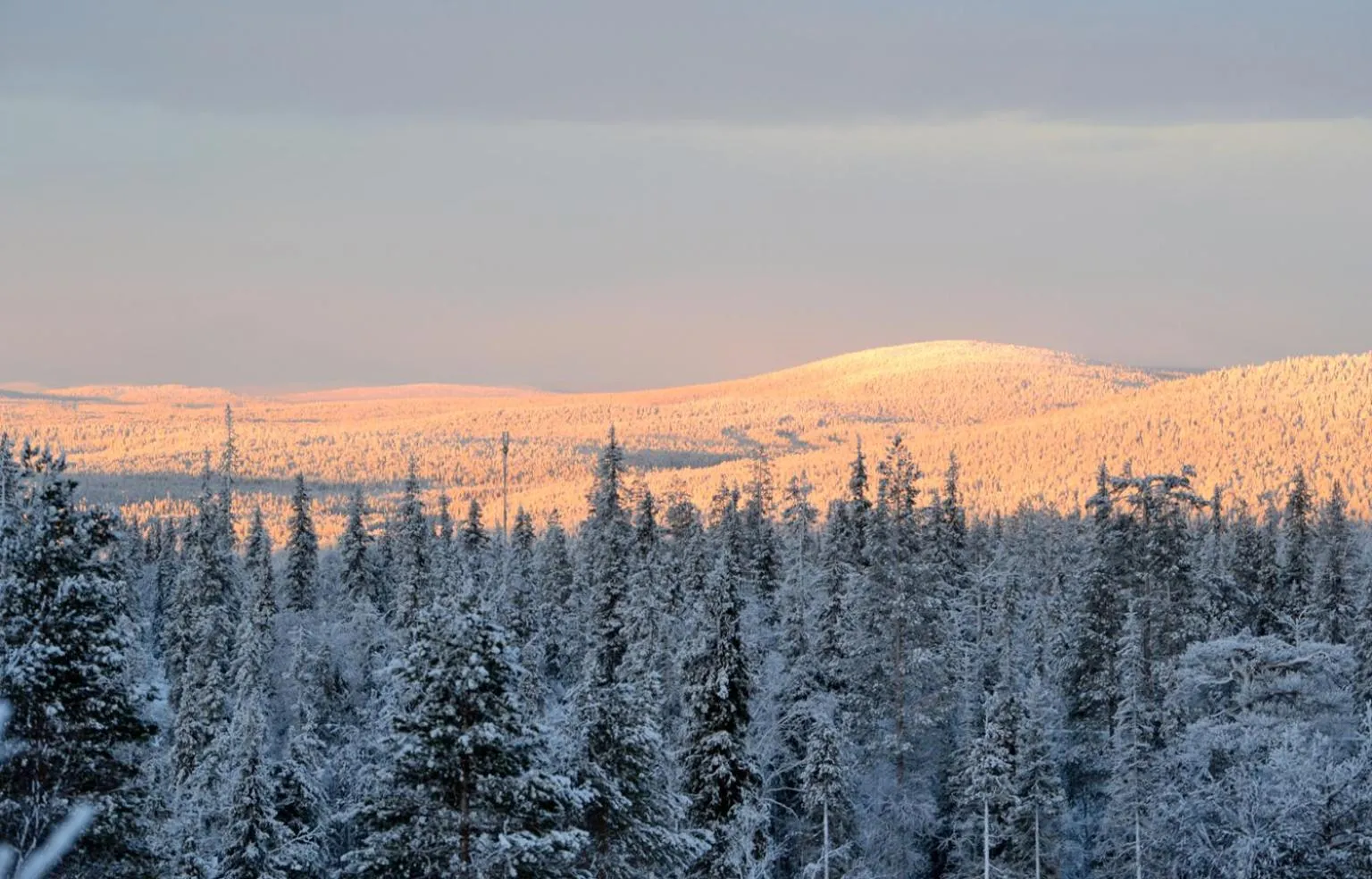 Natural landscape in Talo Ylläs