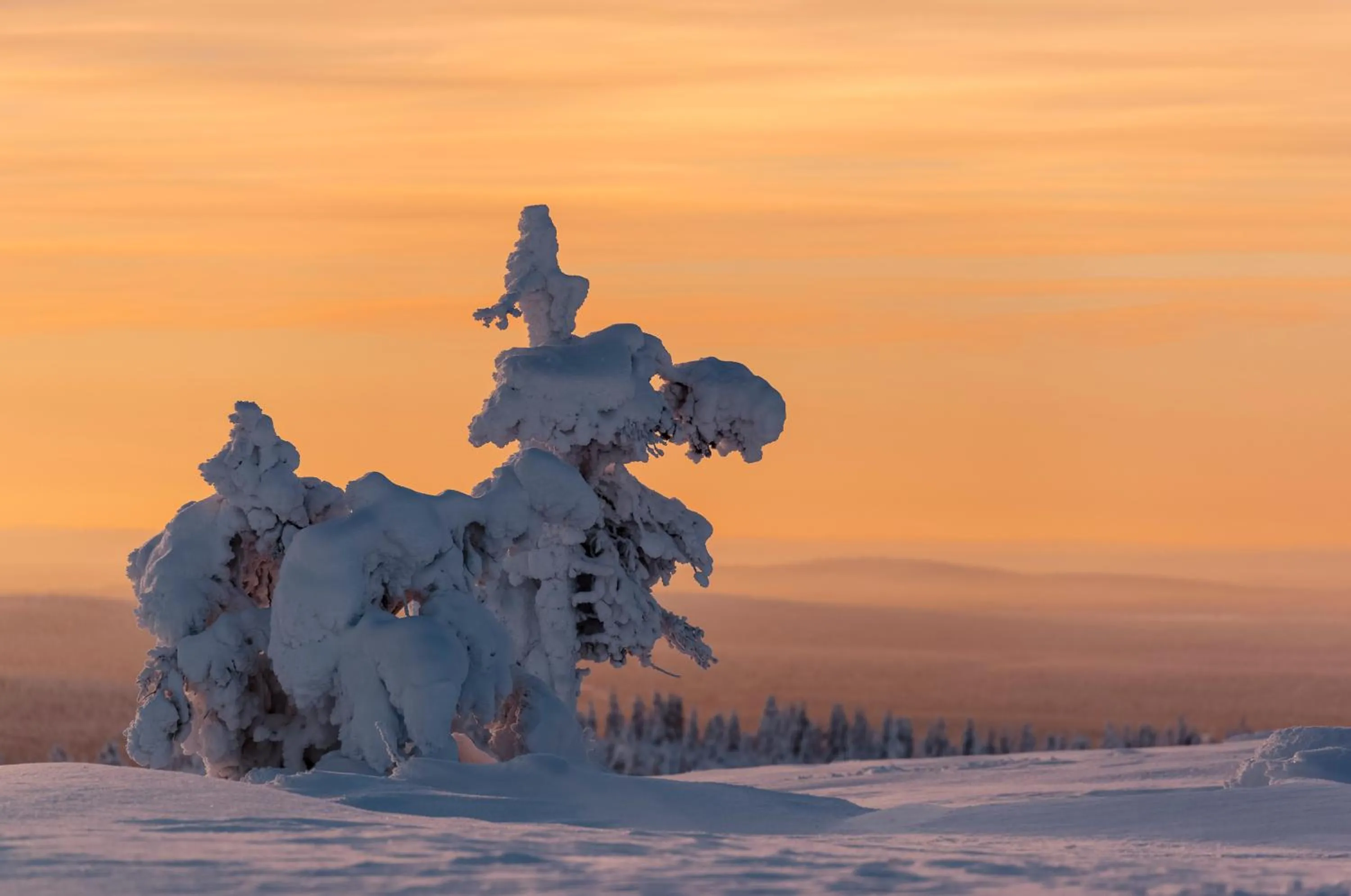 Winter in Talo Ylläs