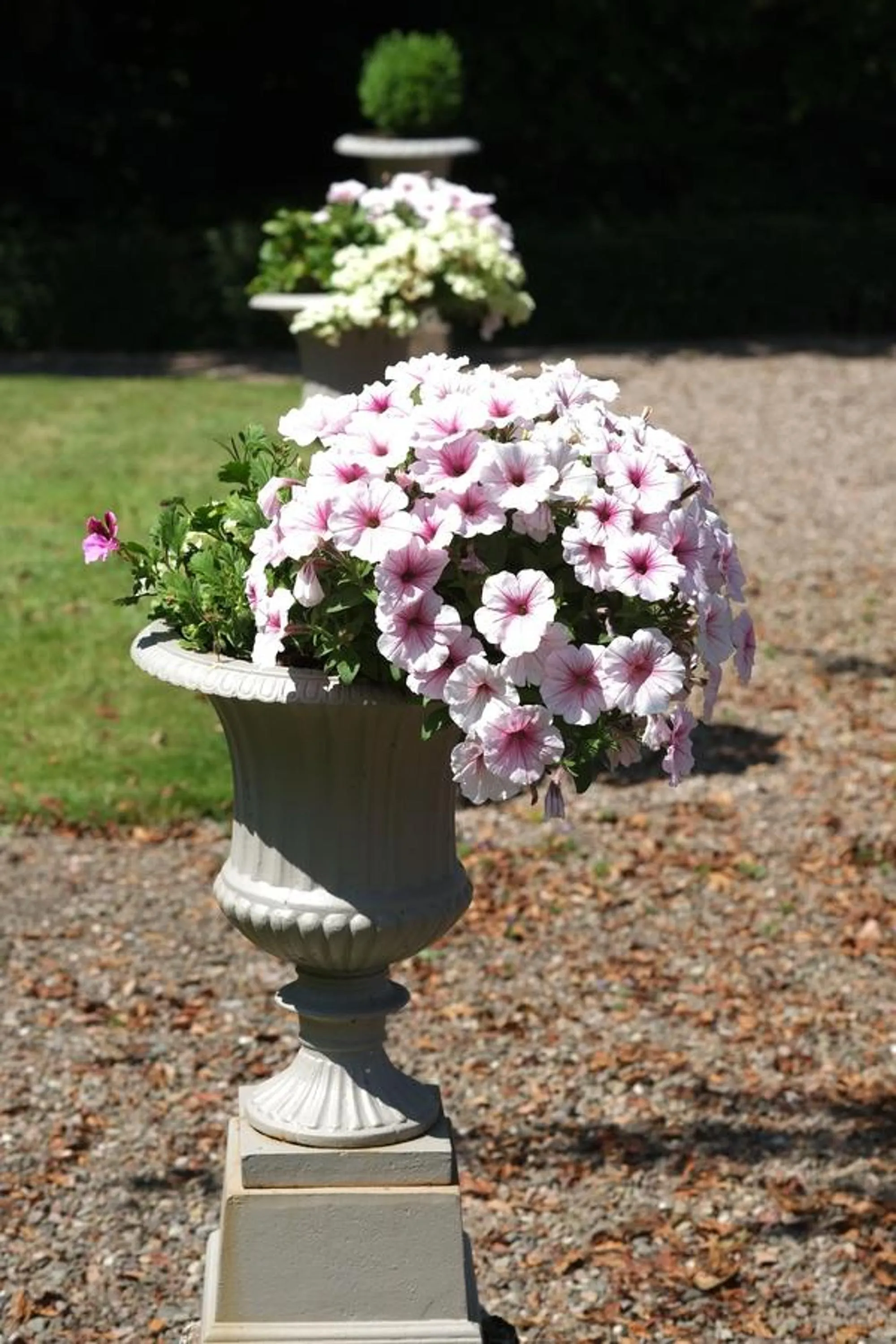 Garden in La Maison D'hôtes du Parc
