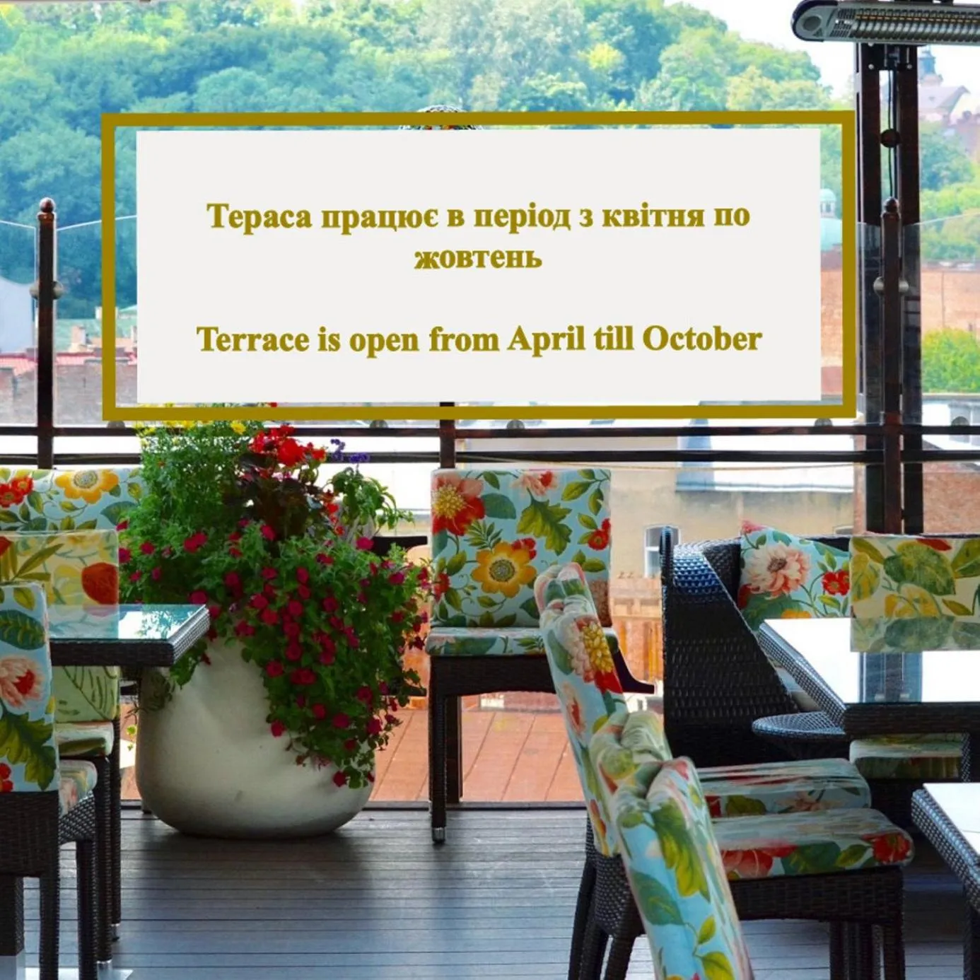 Restaurant/places to eat in Swiss Hotel