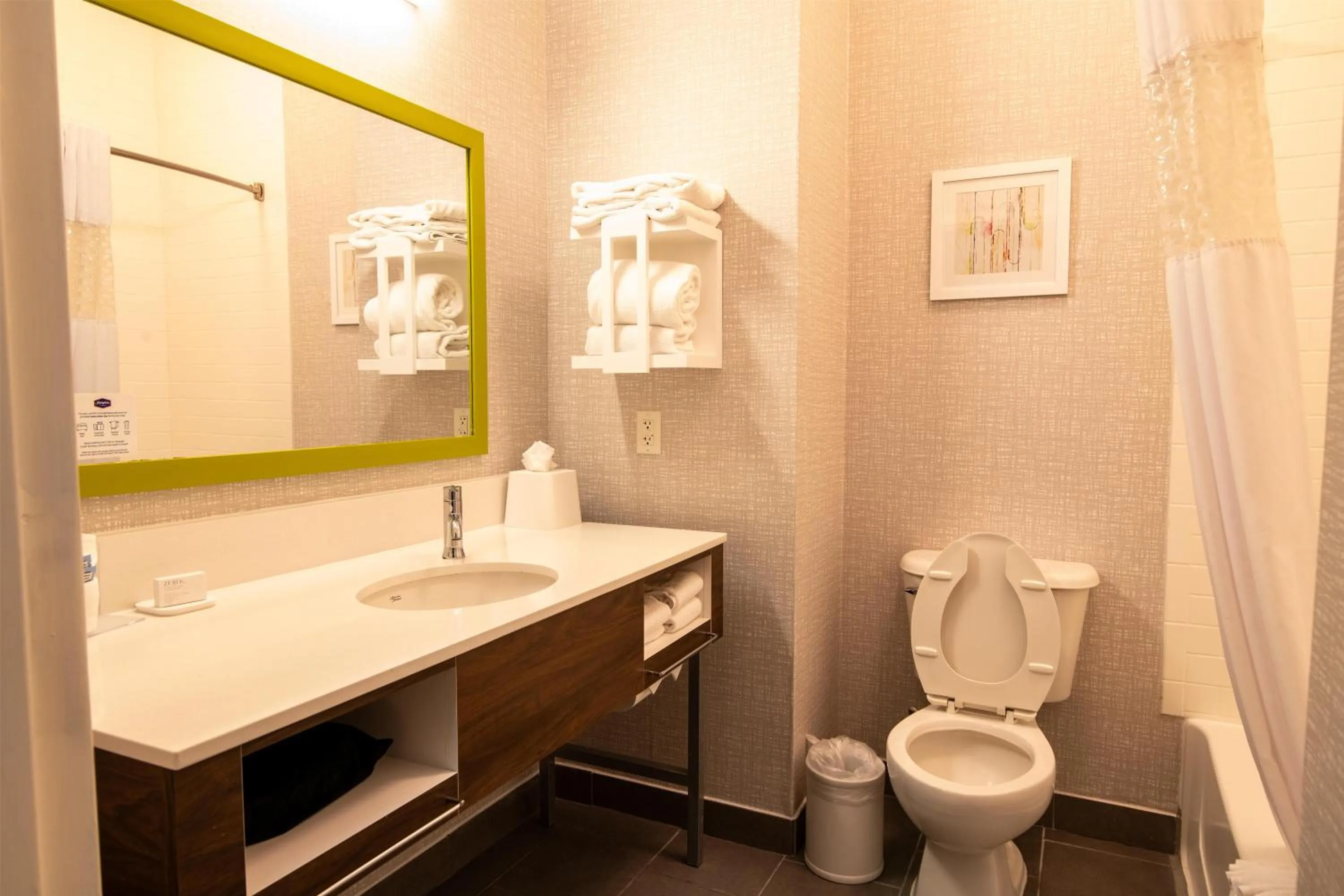 Bathroom in Hampton Inn & Suites College Station