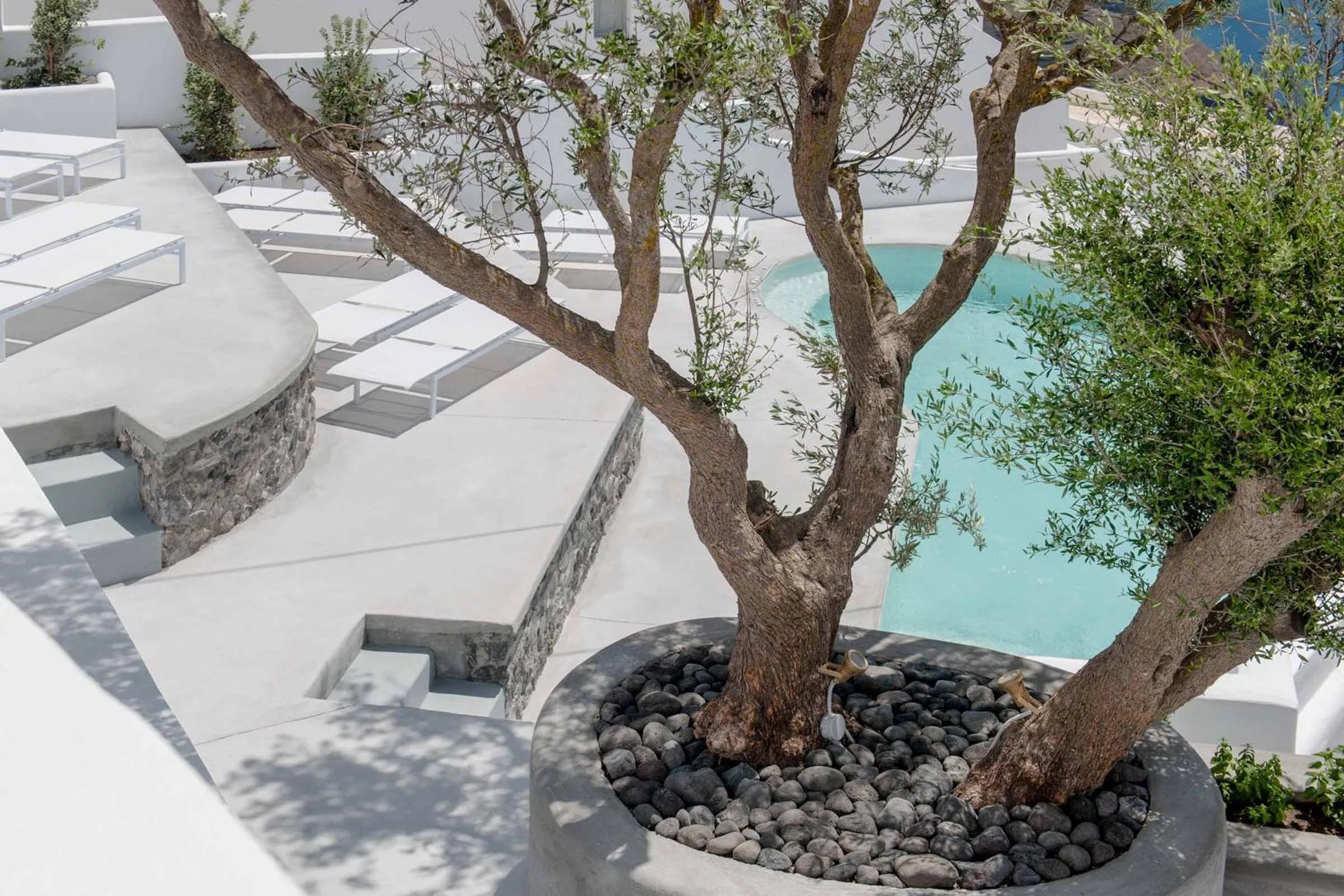 Lounge or bar in Senses Suites