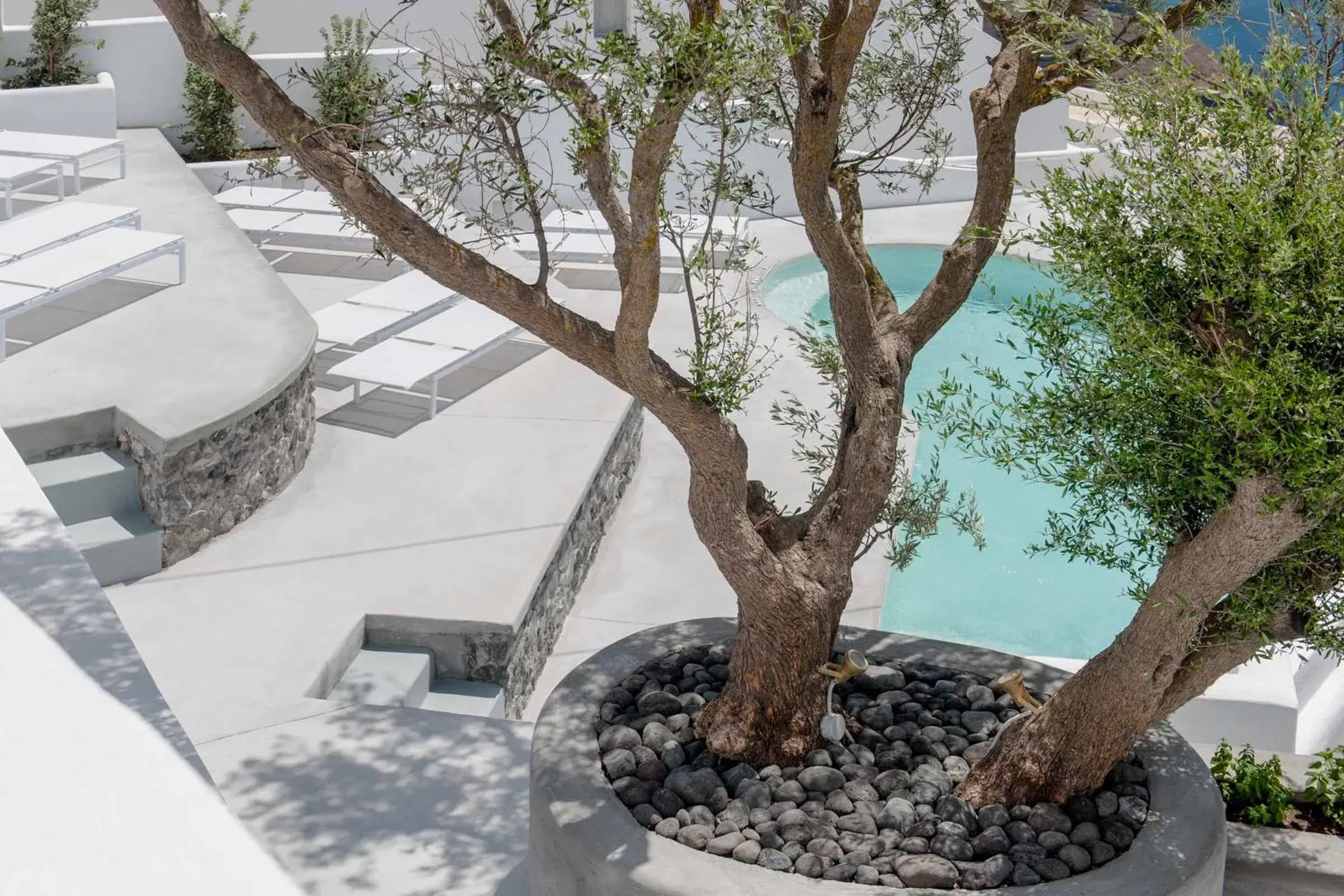 Lounge or bar in Senses Suites Lounge or bar in Senses Suites