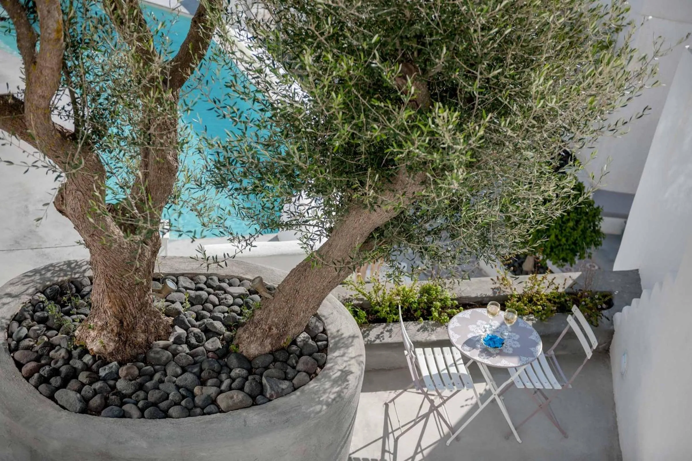 Garden in Senses Suites