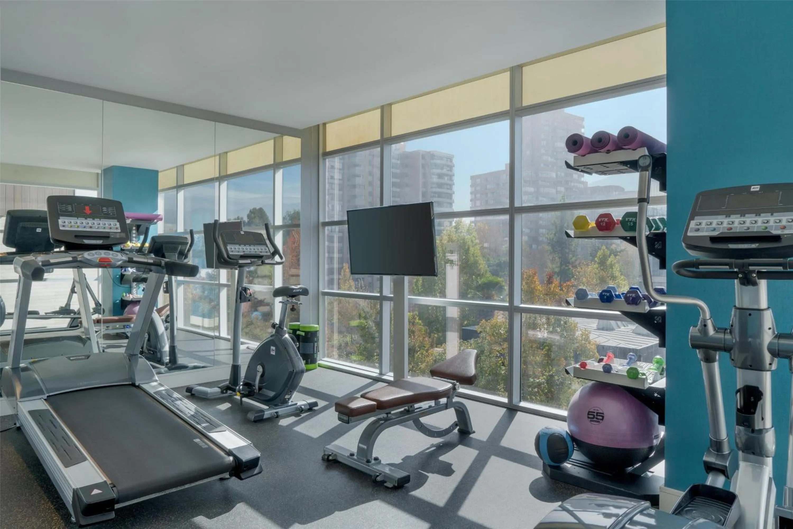 Fitness centre/facilities in NH Collection Santiago Casacostanera