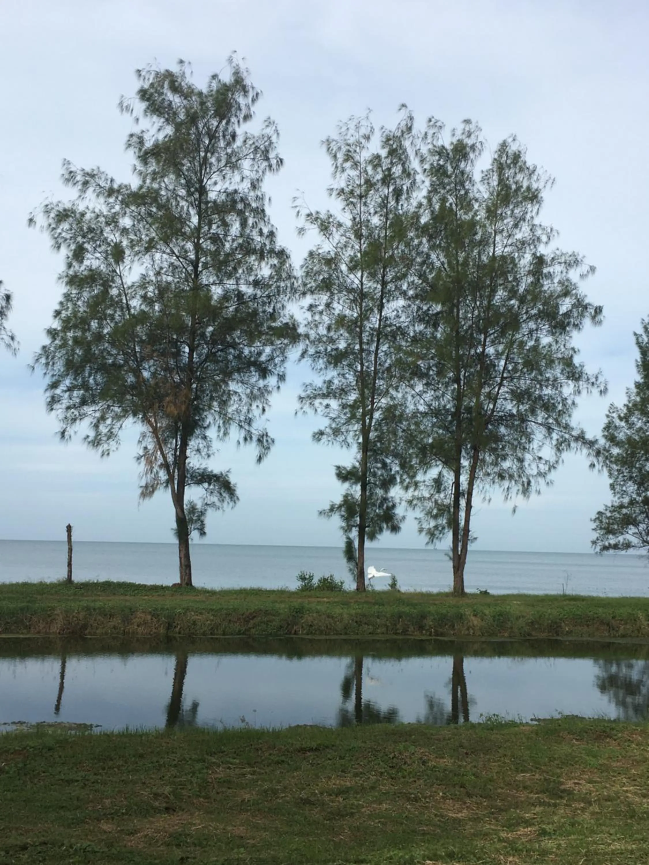 Other in Sleep Soundly By The Sea