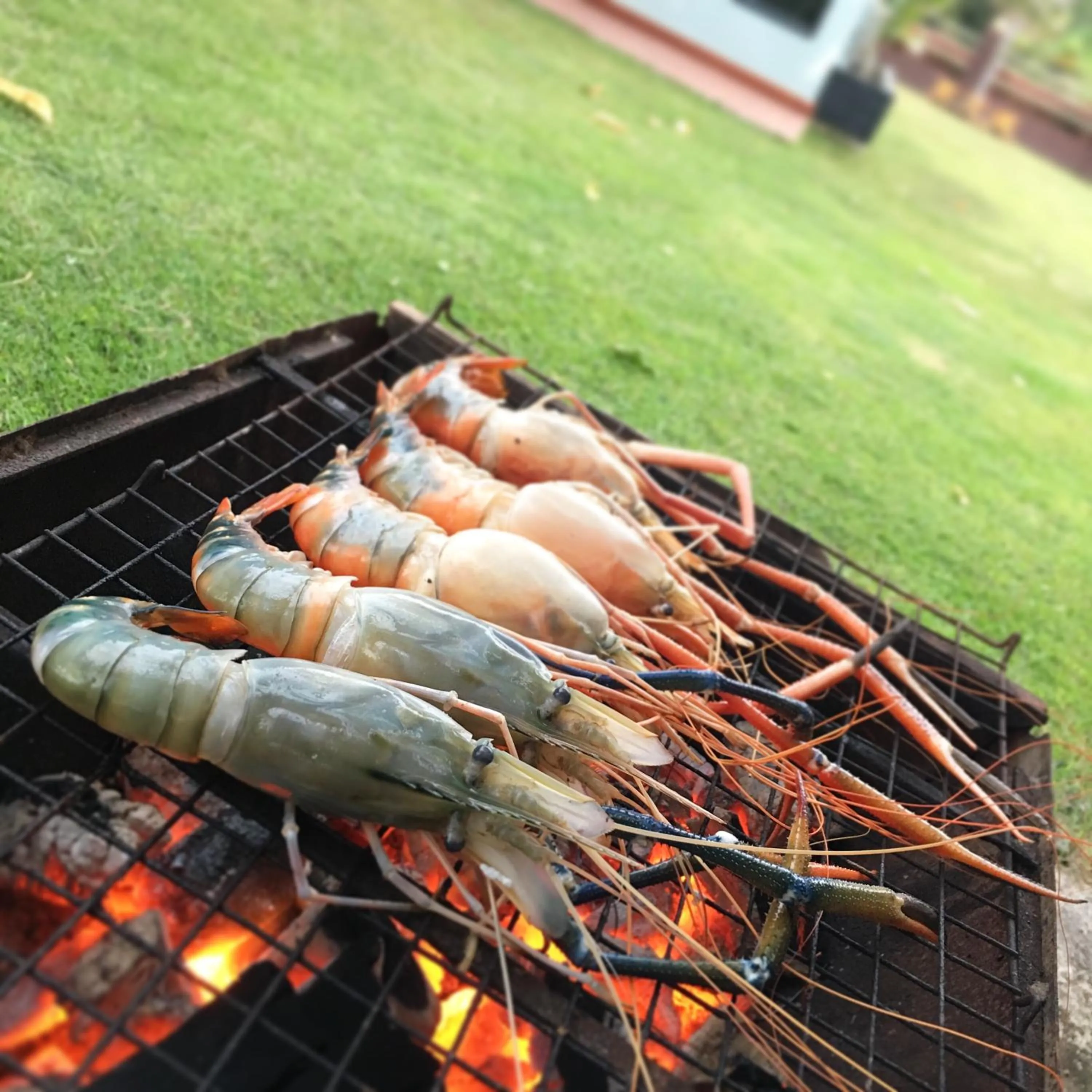 Activities in Sleep Soundly By The Sea