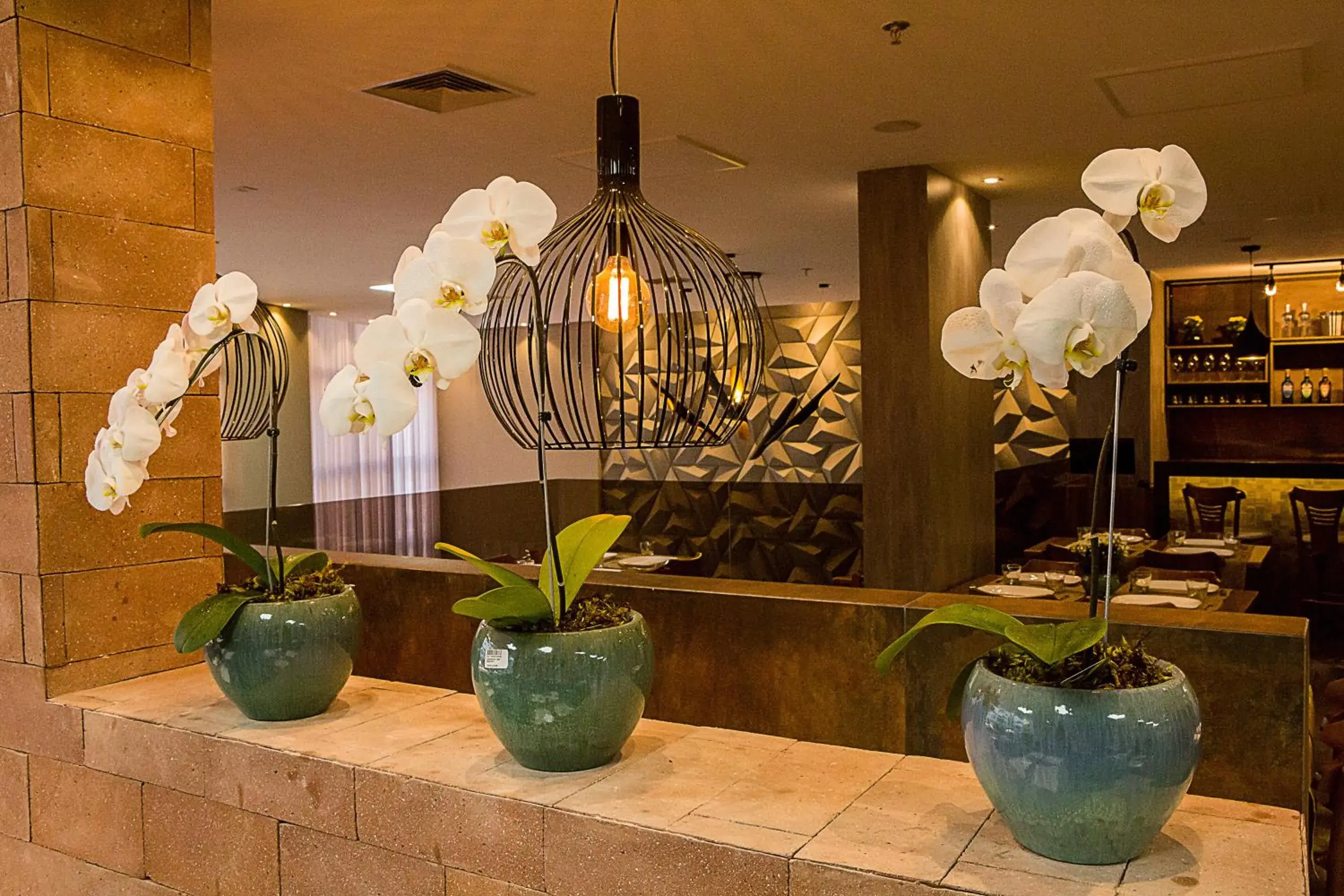 Restaurant/places to eat in Bristol Viçosa Hotel Restaurant/places to eat in Bristol Viçosa Hotel