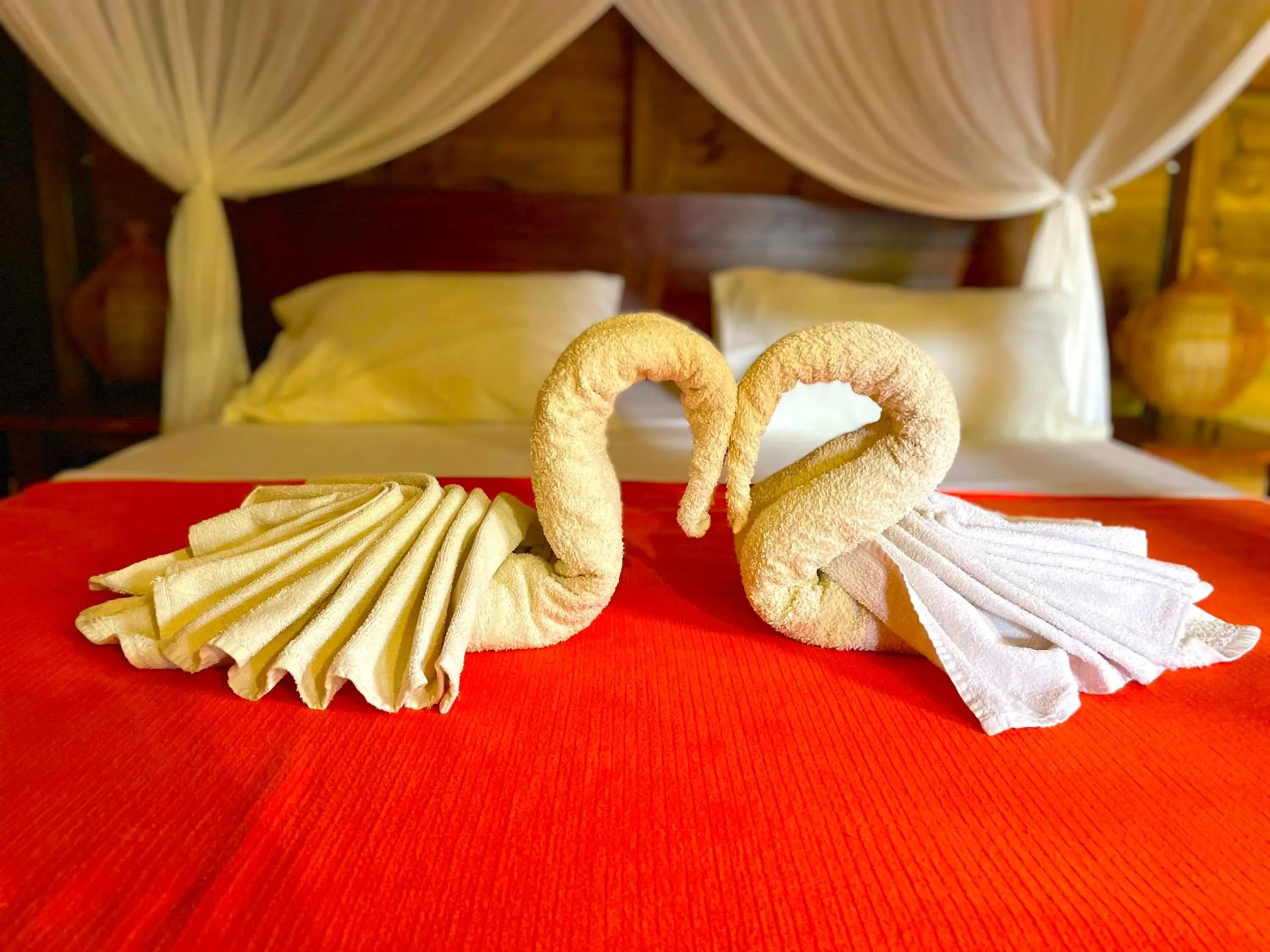 Bed in Gite LES CALEBASSIERS