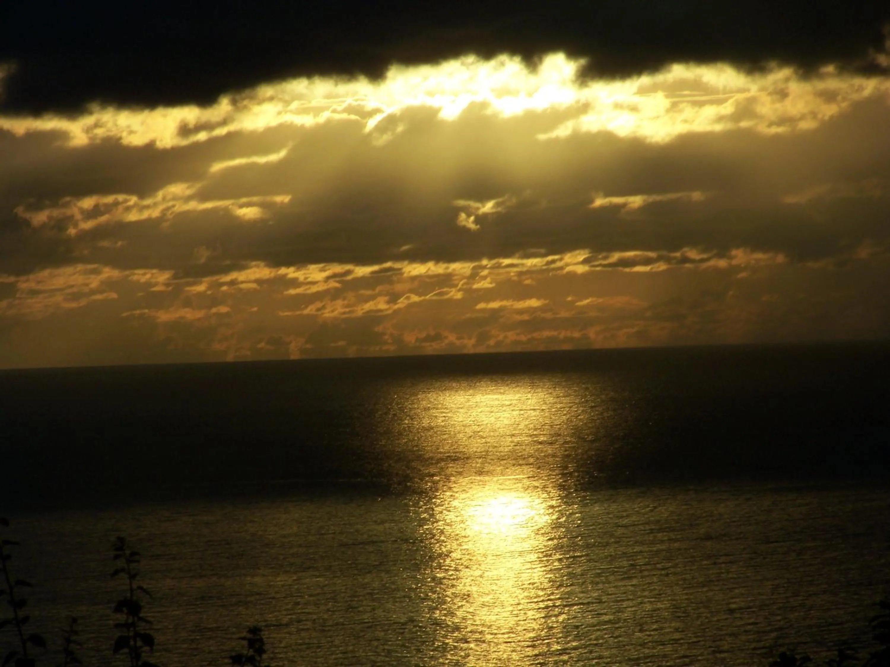 Sea view in Gite LES CALEBASSIERS