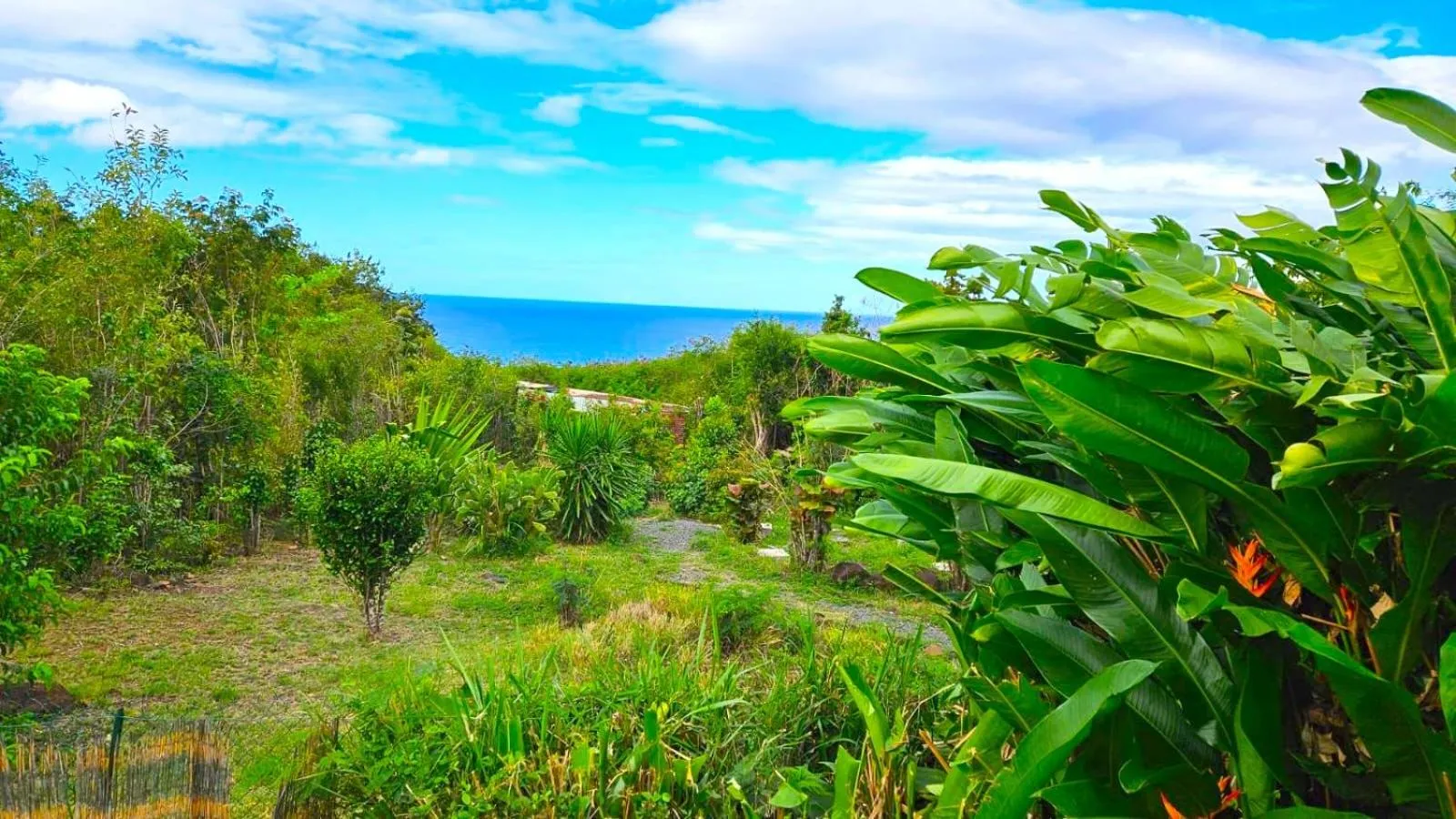 Gite LES CALEBASSIERS