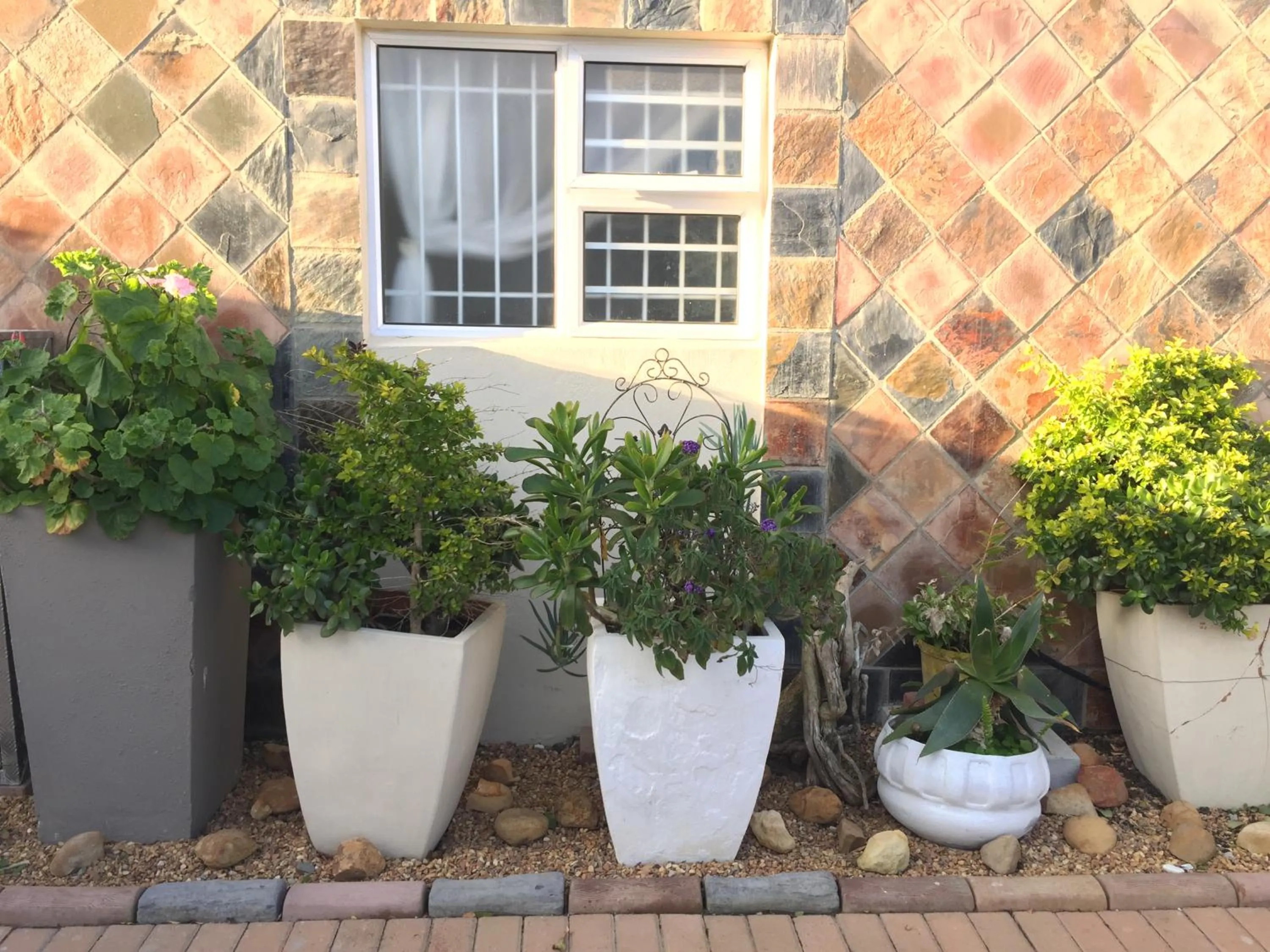 Arum Field Accommodation