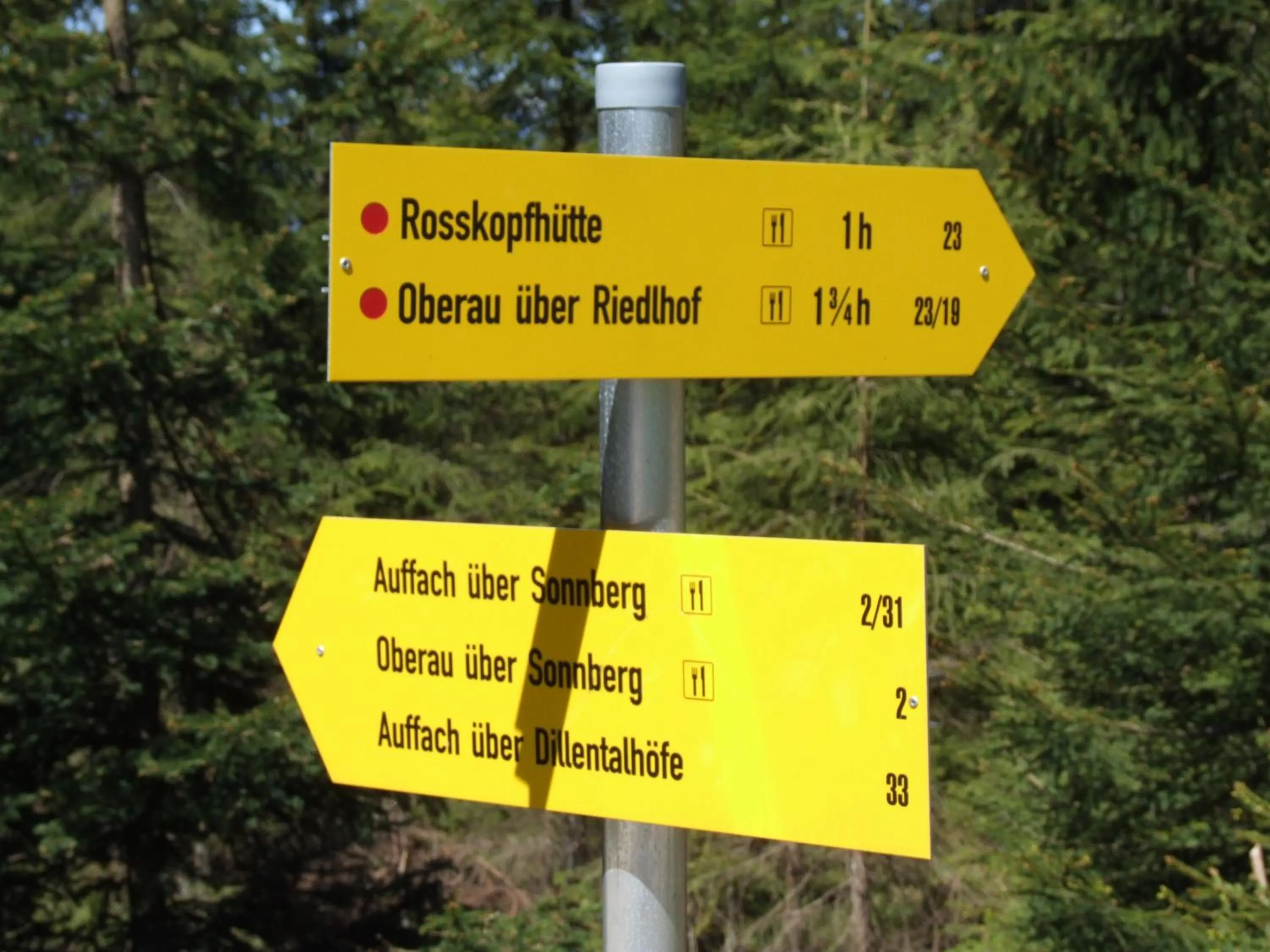 Hiking in Landhotel Tirolerhof - Wildschönau - PREMIUM Card im Sommer