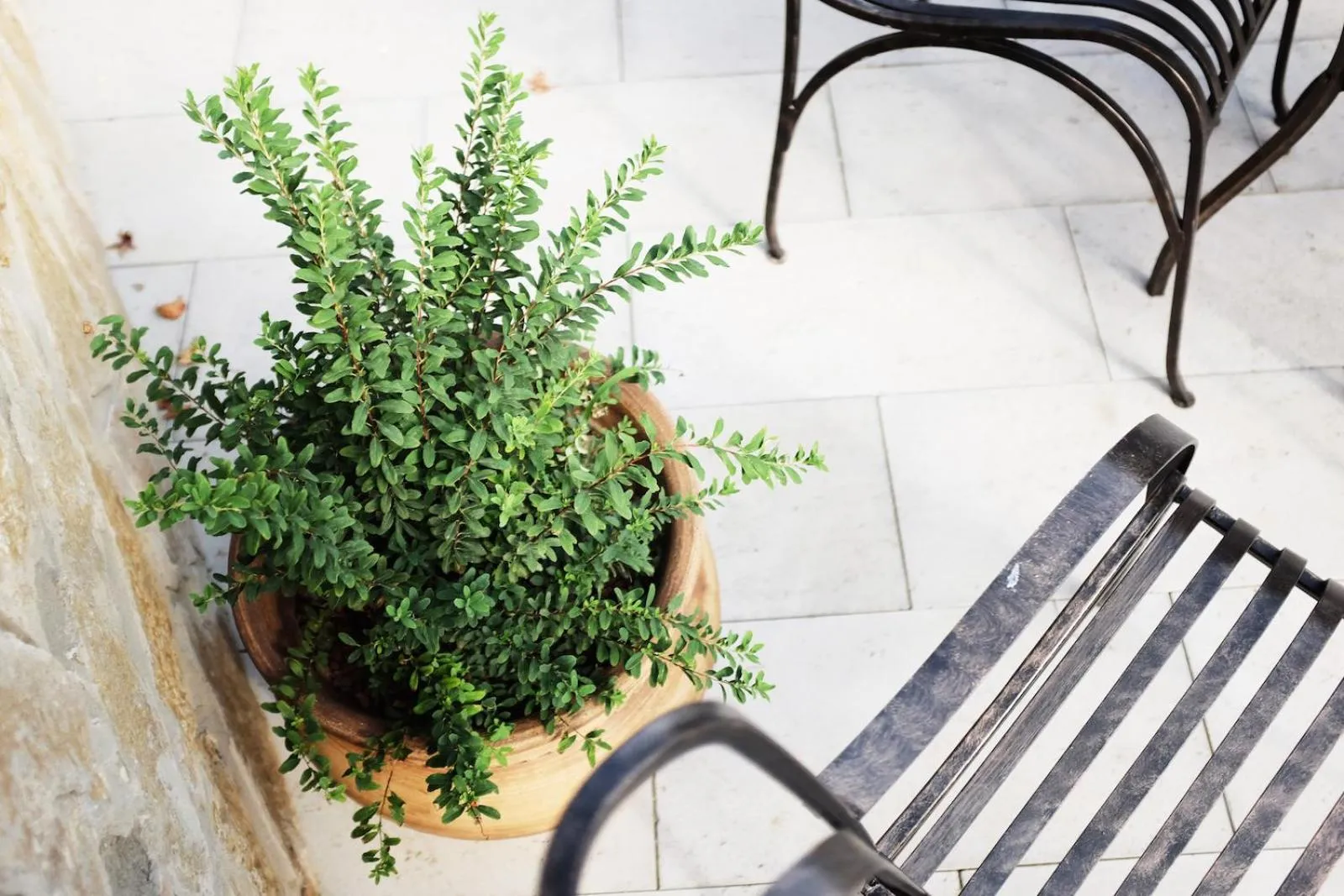 Decorative detail in PROSECCO RESIDENCE MARKO