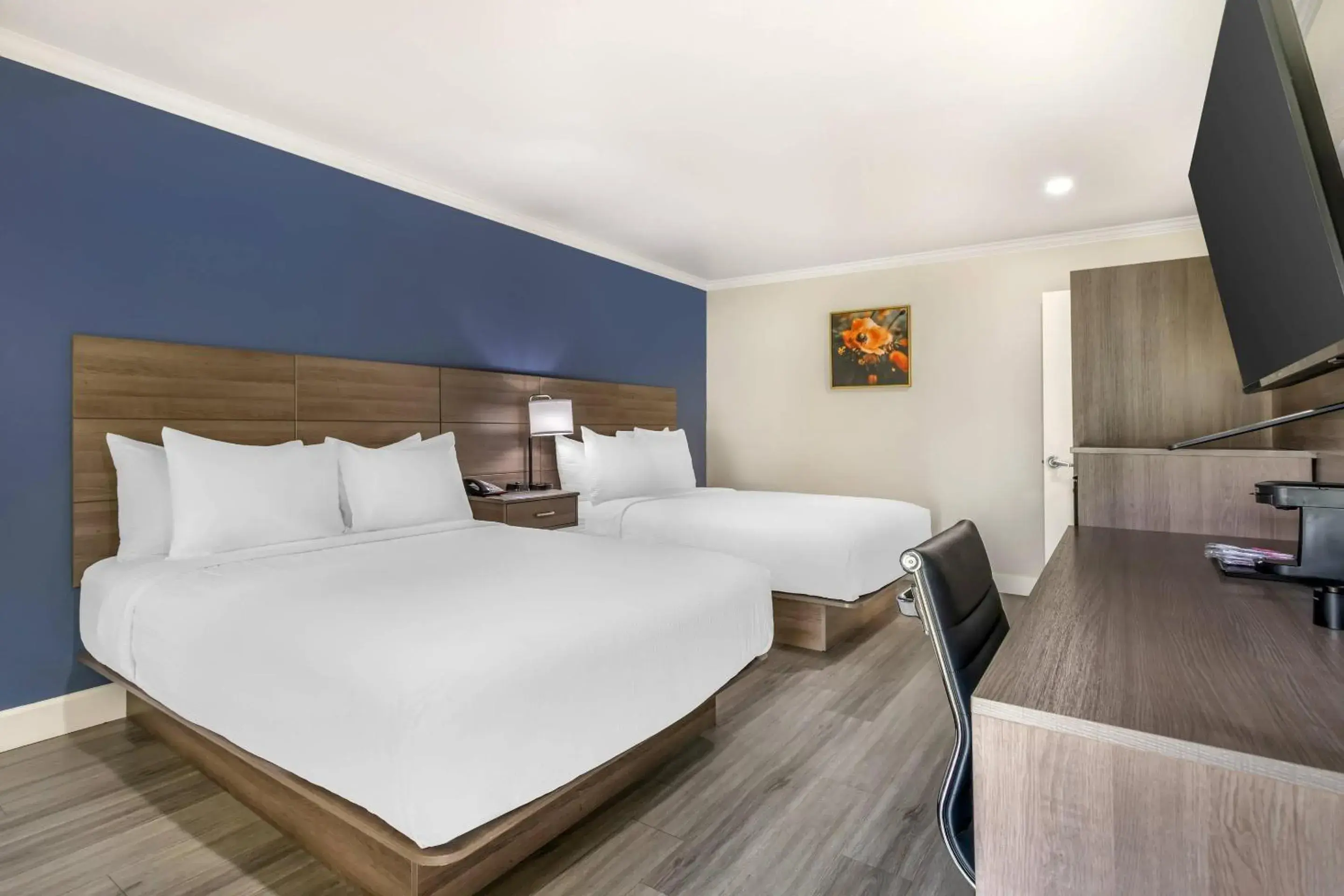 Bedroom, Bed in University Park Inn & Suites, an Ascend Collection Hotel Bedroom, Bed in University Park Inn & Suites, an Ascend Collection Hotel