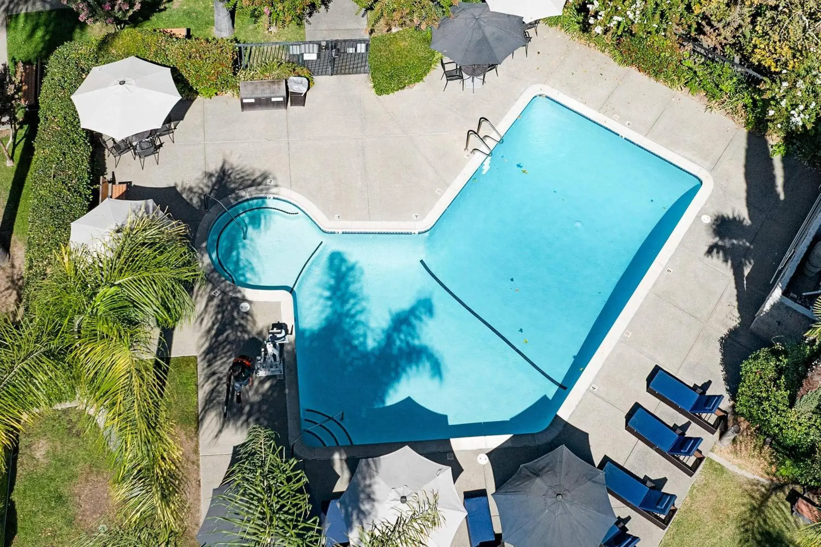 Swimming pool in University Park Inn & Suites, an Ascend Collection Hotel Swimming pool in University Park Inn & Suites, an Ascend Collection Hotel