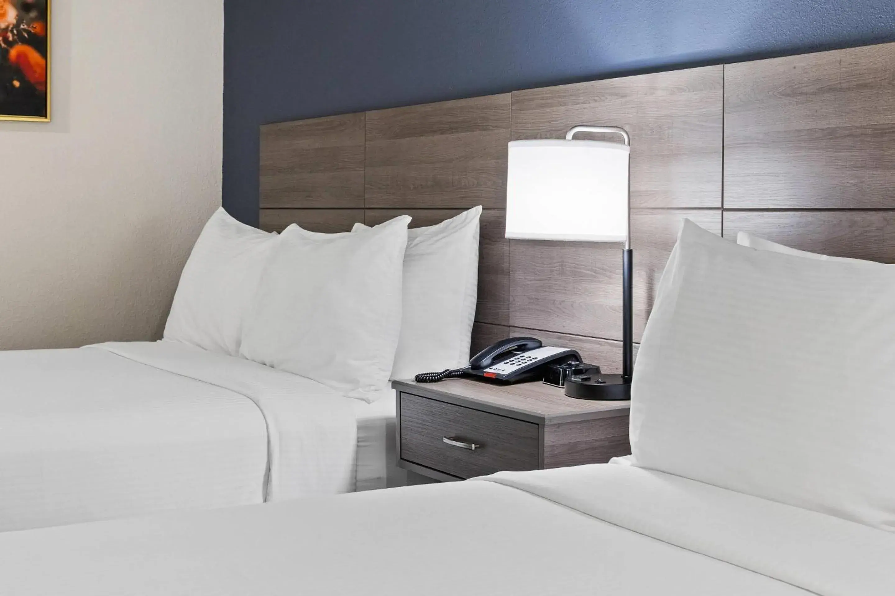 Bedroom, Bed in University Park Inn & Suites, an Ascend Collection Hotel Bedroom, Bed in University Park Inn & Suites, an Ascend Collection Hotel